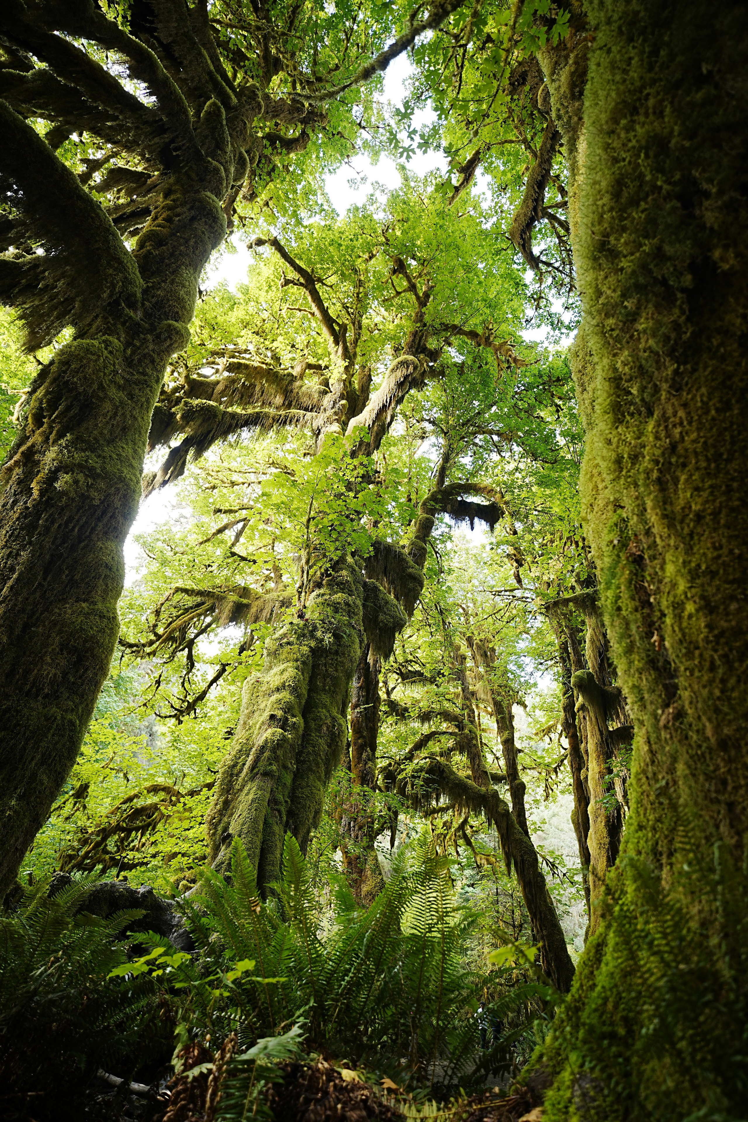 Photographer New York / Los Angeles