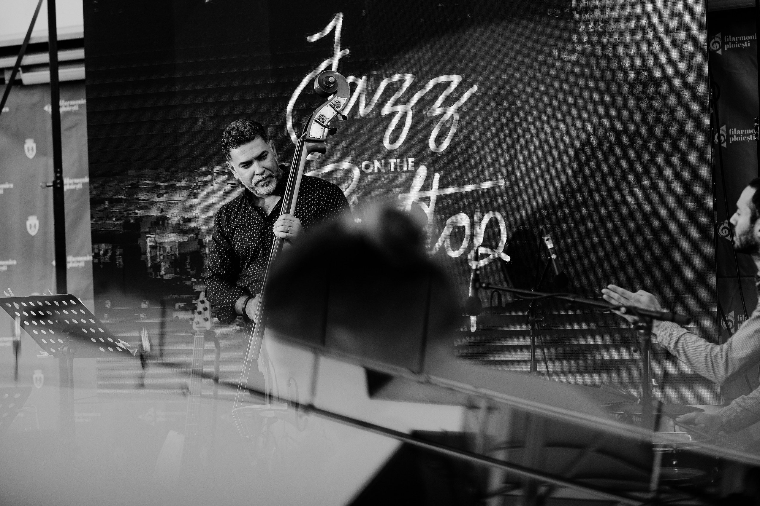 Razvan Cojanu. Hornetart