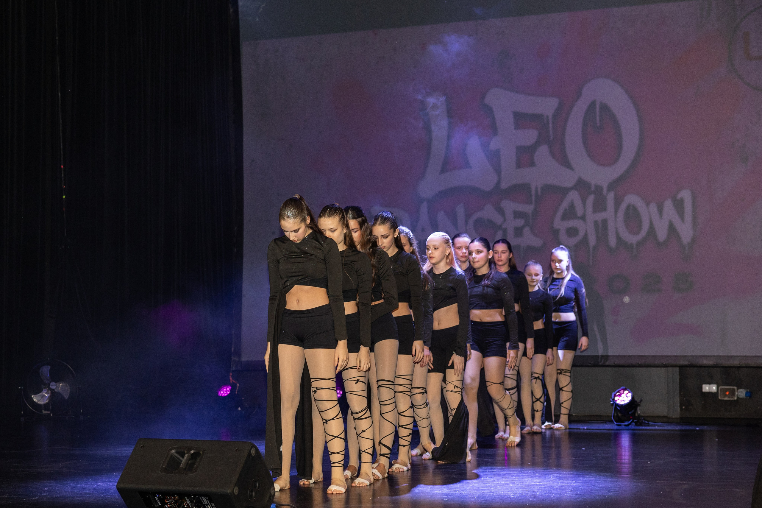 LEO DANCE SHOW WINTER 2025. Семейный и детский фотограф в Варшаве Мила Бобровская