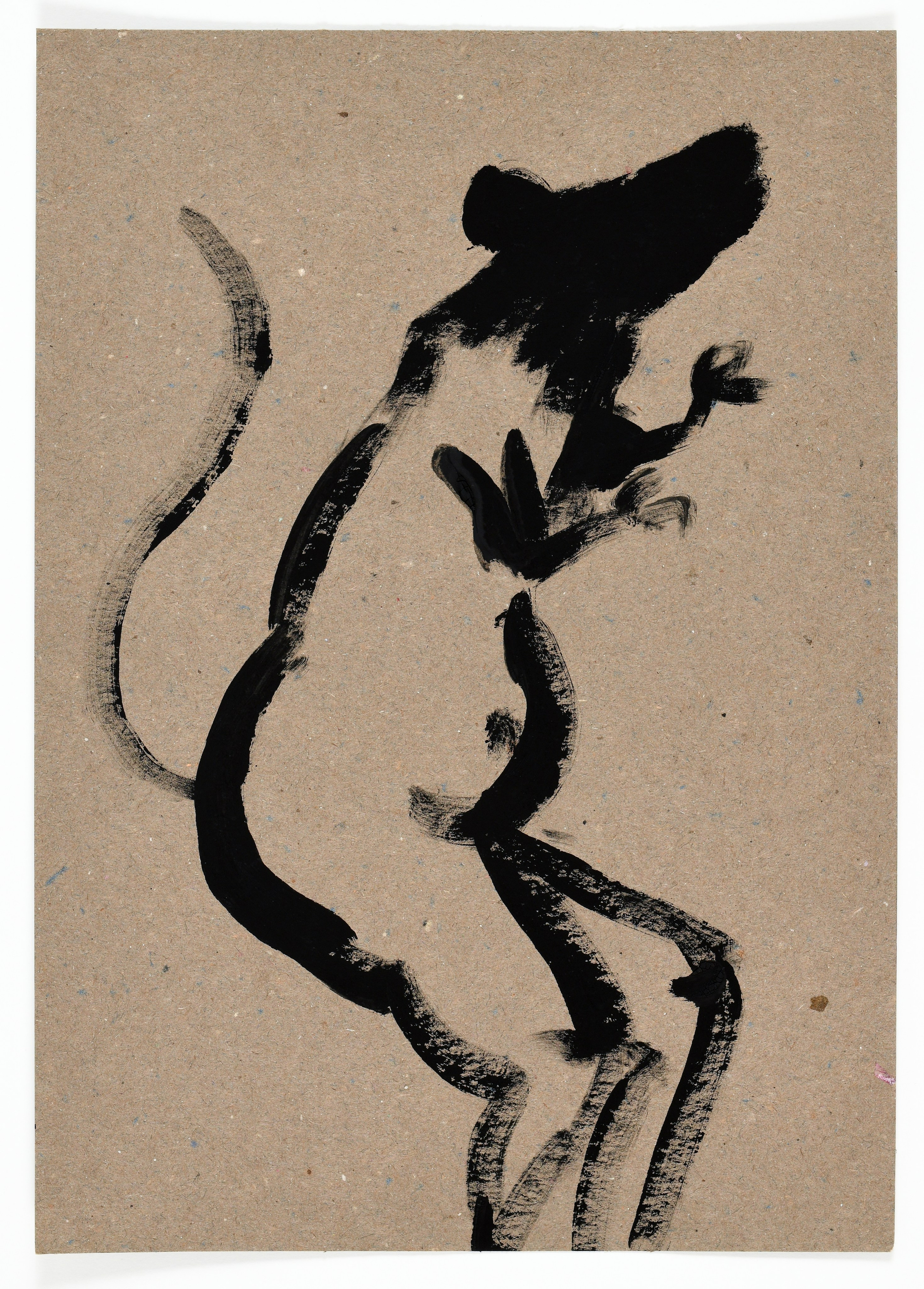 Birds and rats, 2020. Haim Sokol’s artists website