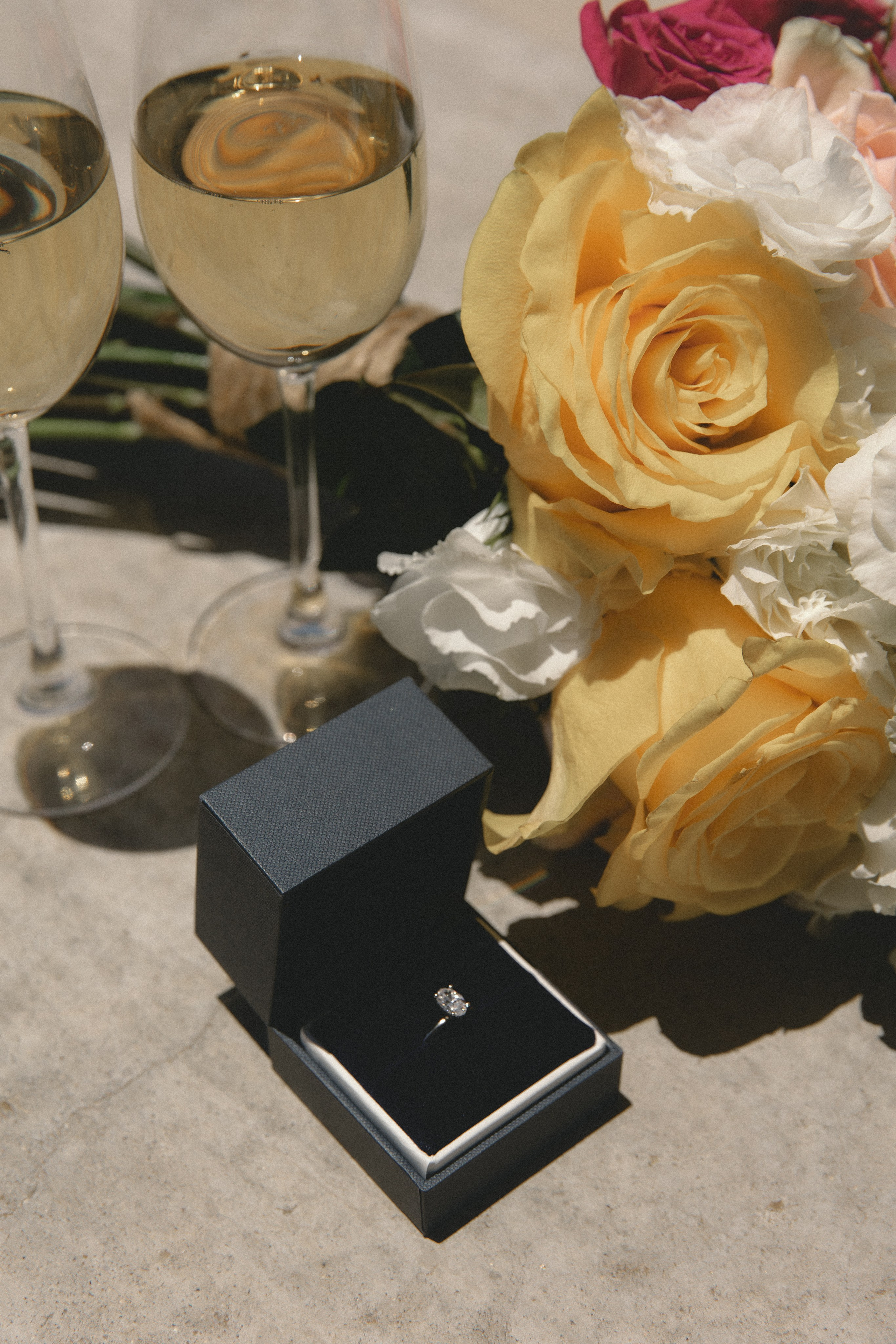 Brian & Erika. Wedding proposal. Fotógrafa familiar Santiago y Chile Anna Almazova