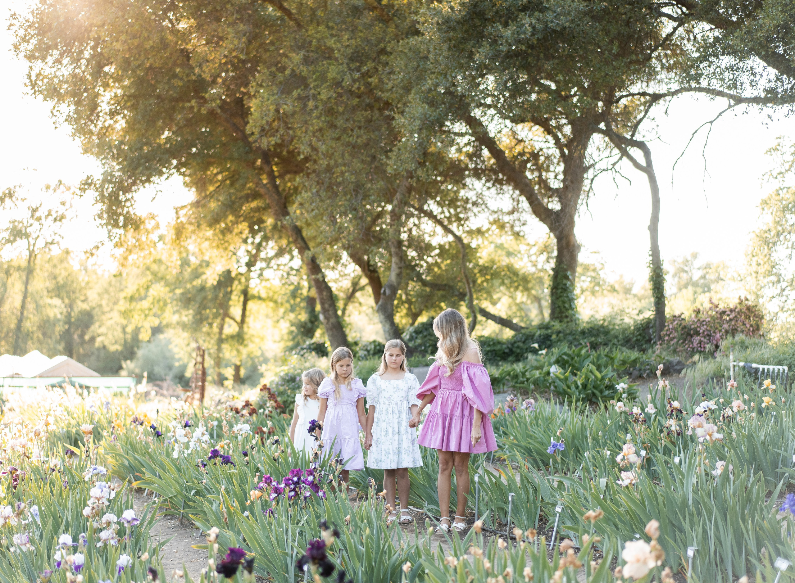 Beshta family. Family photographer in Sacramento | Sofia Pavenko