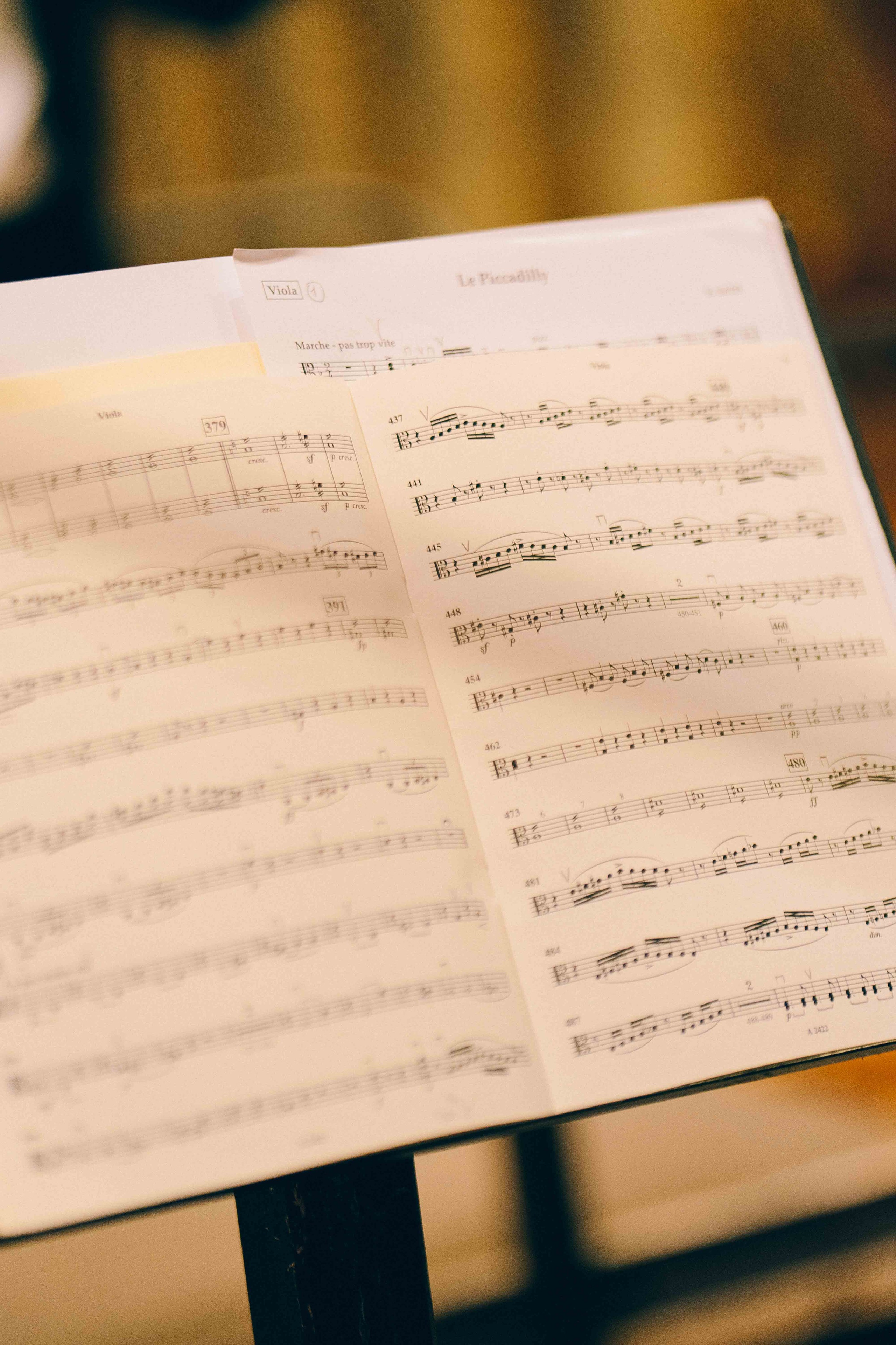 MUSIKVEREIN (VIENNA). Wedding&Event photographer Ismail Rzayev in Baku