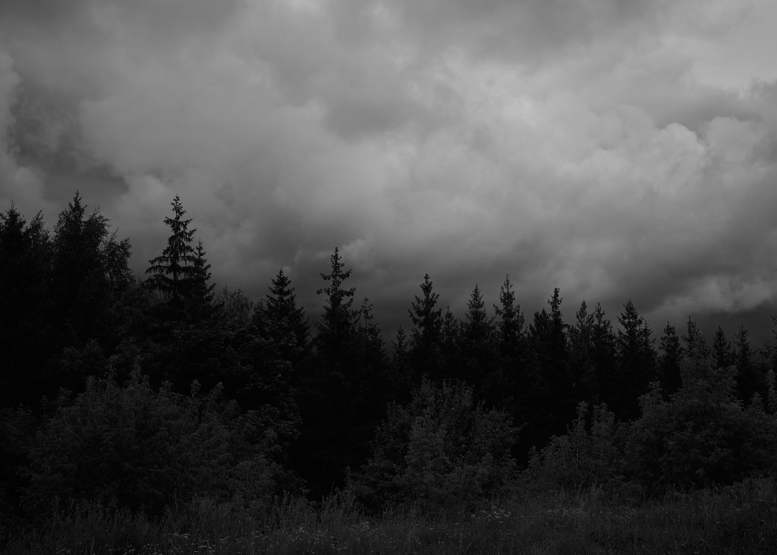 RUSSIA. Daniil Khaitseer photography