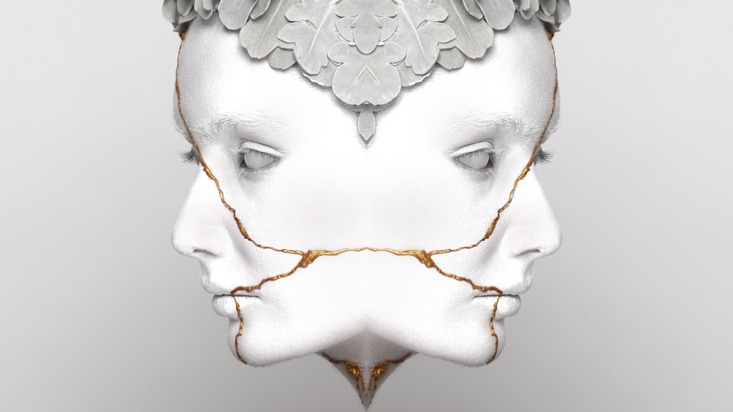 Alireza Sahebi Photographer