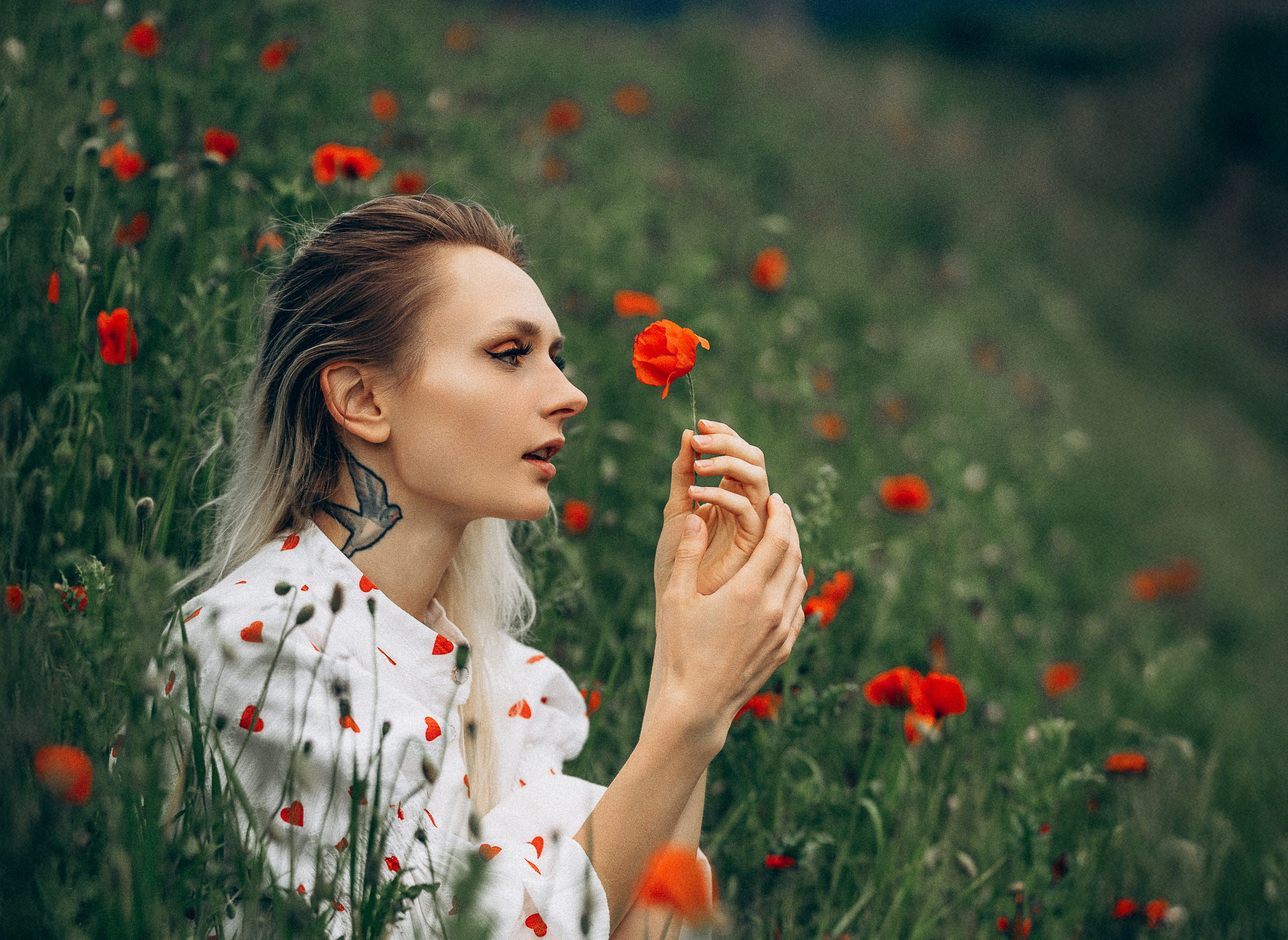 Mohnblumen. Pusteblumen. Familien, Lifestyle und Portrait Fotografin in Trier, Luxembourg