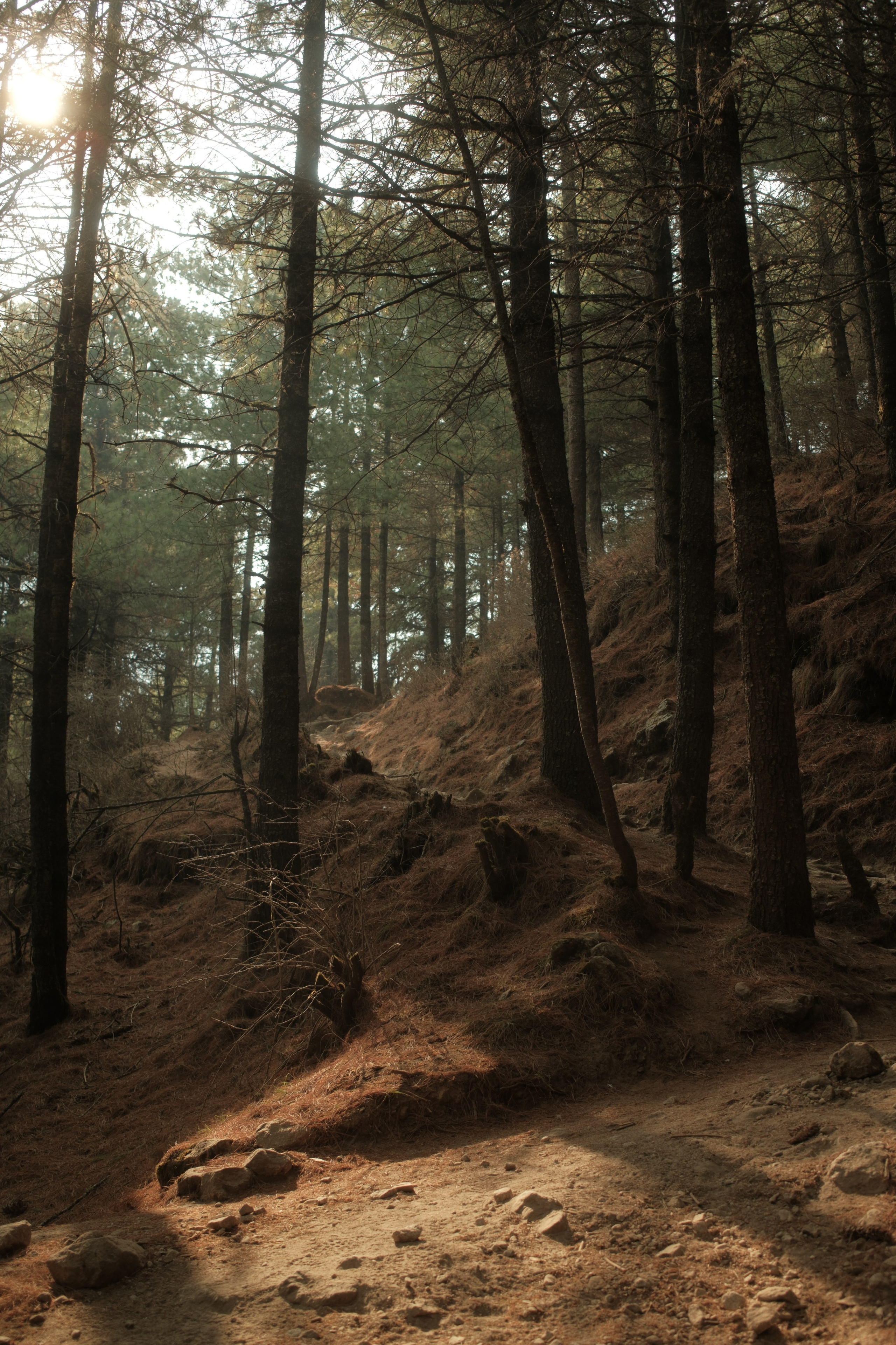Nepal. Patricia Morenci — Mountain Adventures for the Wild at Heart