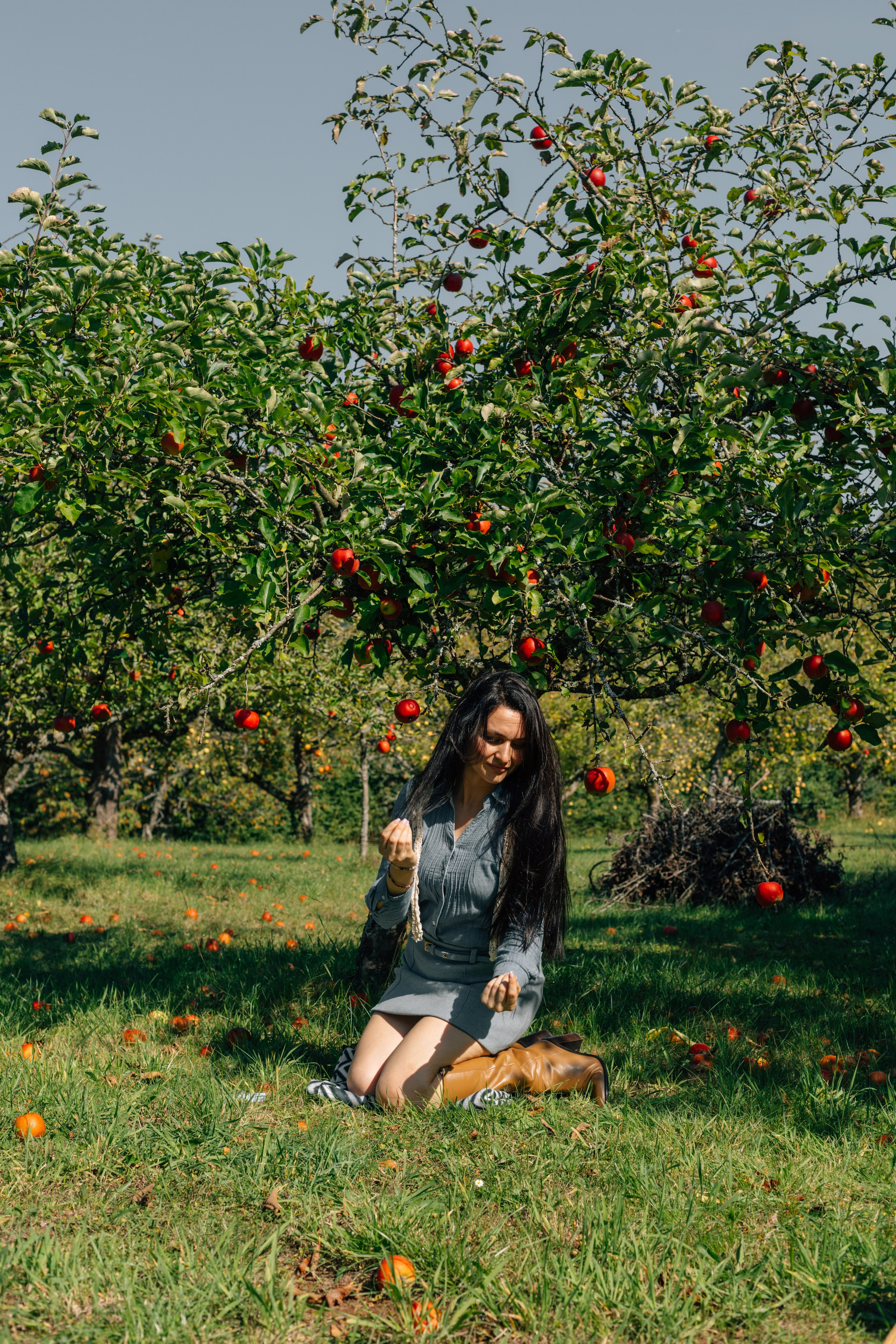In Garten. PHOTOgrapher Germany MARBURG