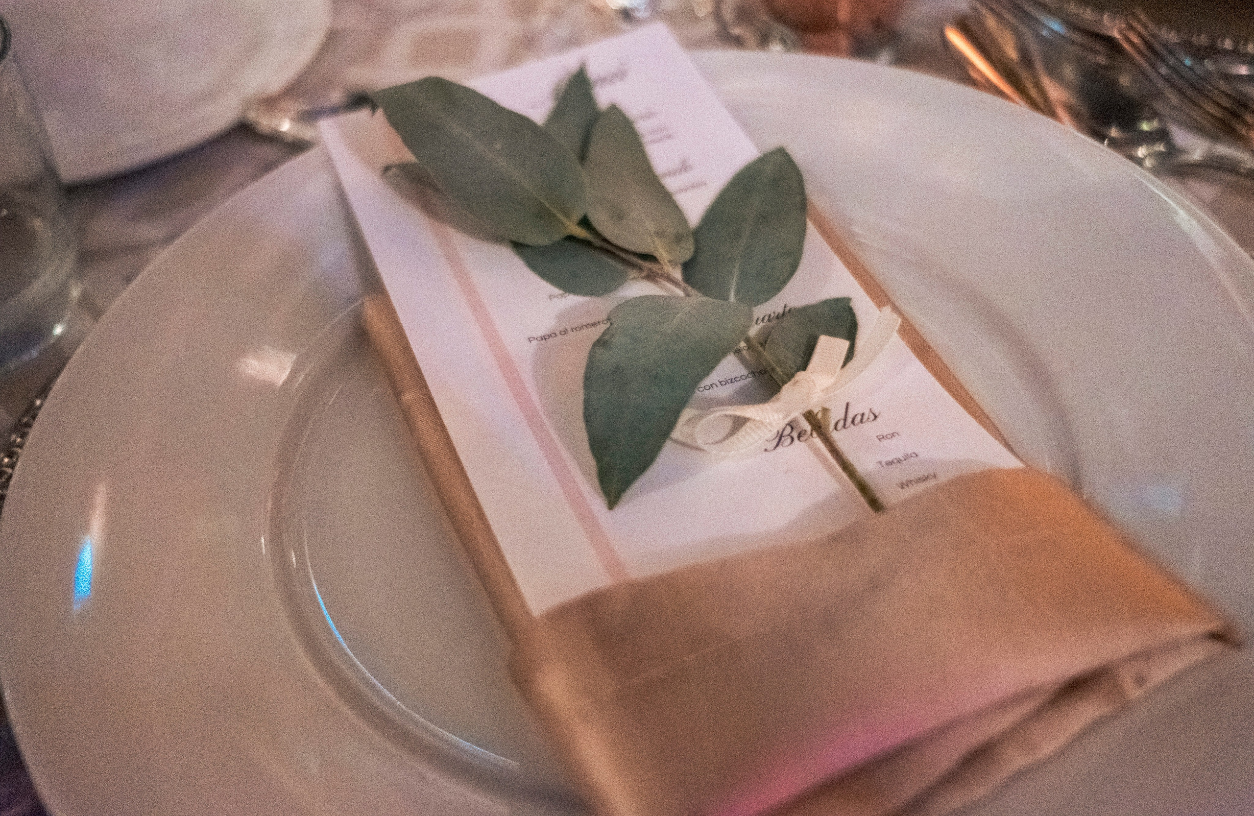 Mel & Carlos. Wedding and family photographer in Mexico City