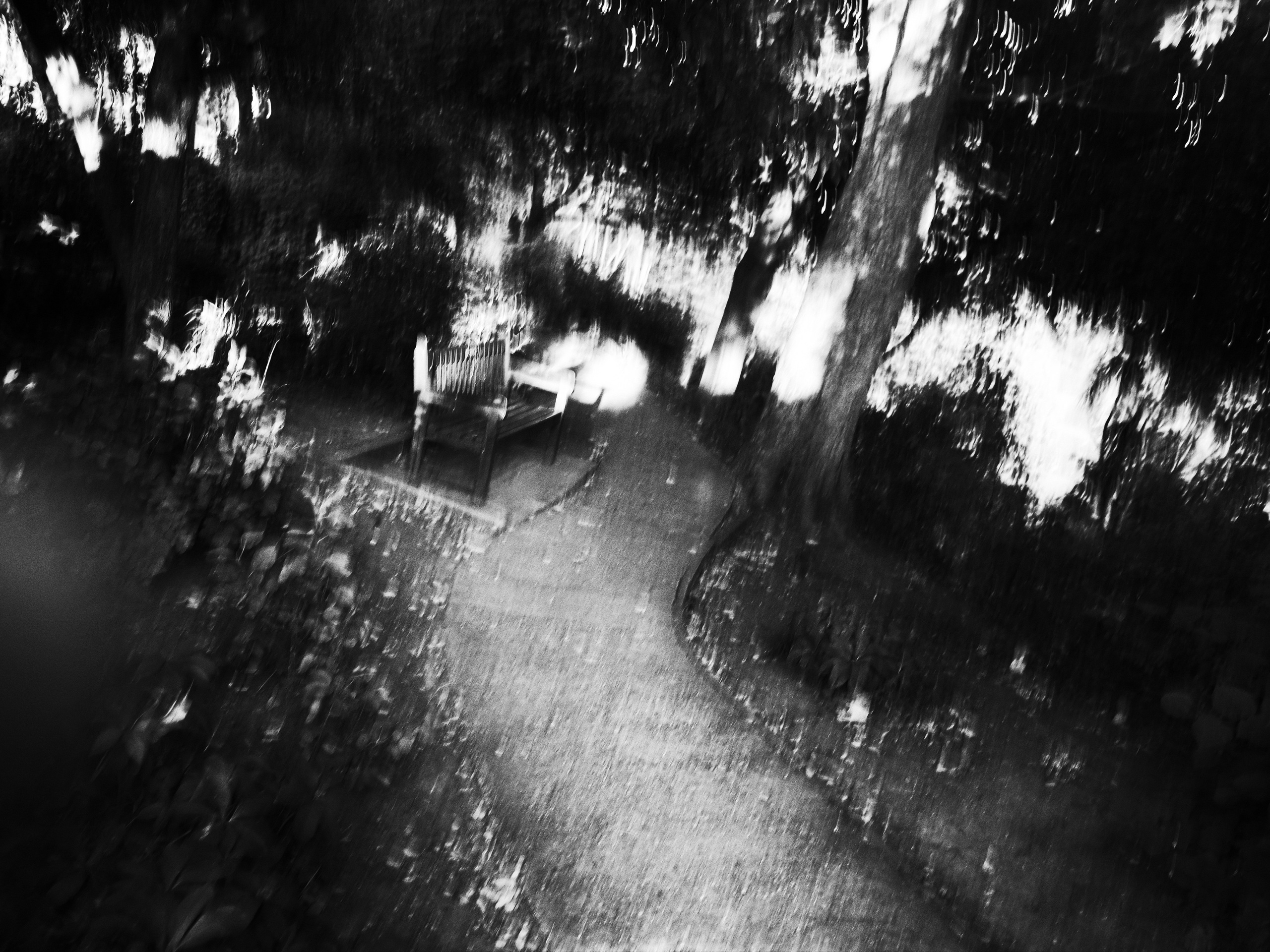 Garden of Forking Paths. Victoria Dini. Art photography in London / Folkestone, UK