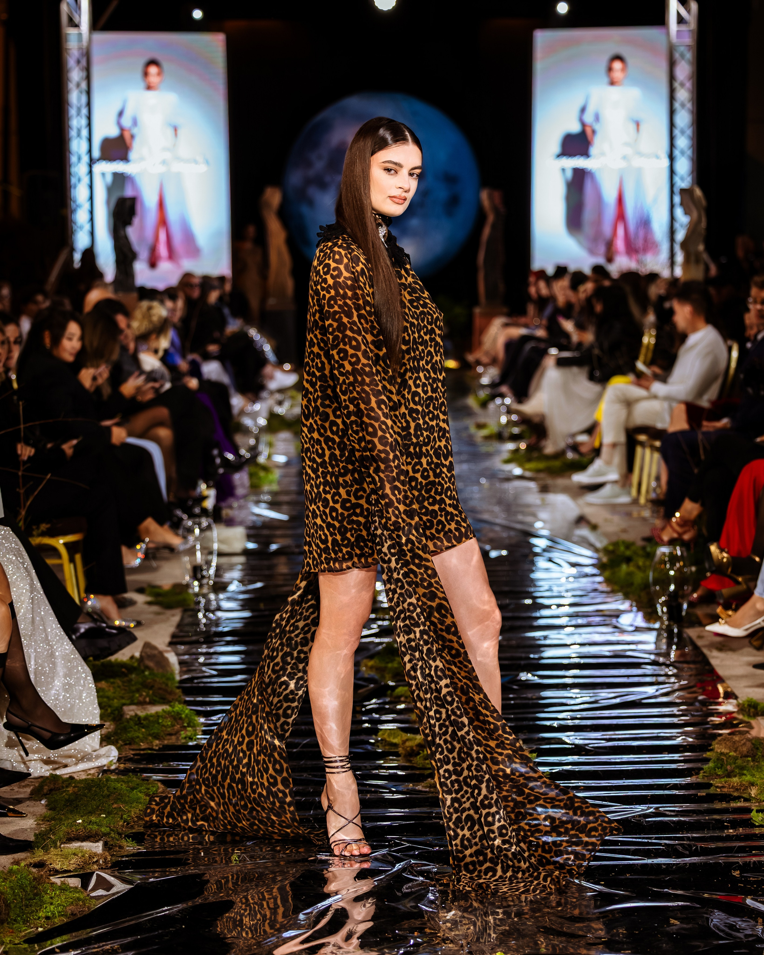 Prive. Marius Ciocan