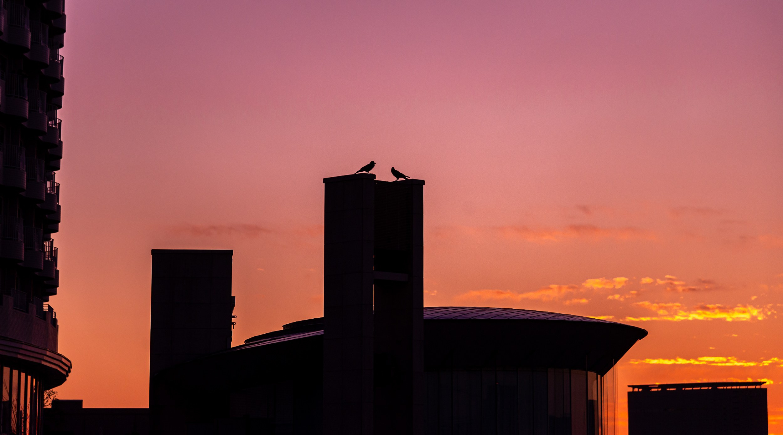 Japan. Marius Ciocan