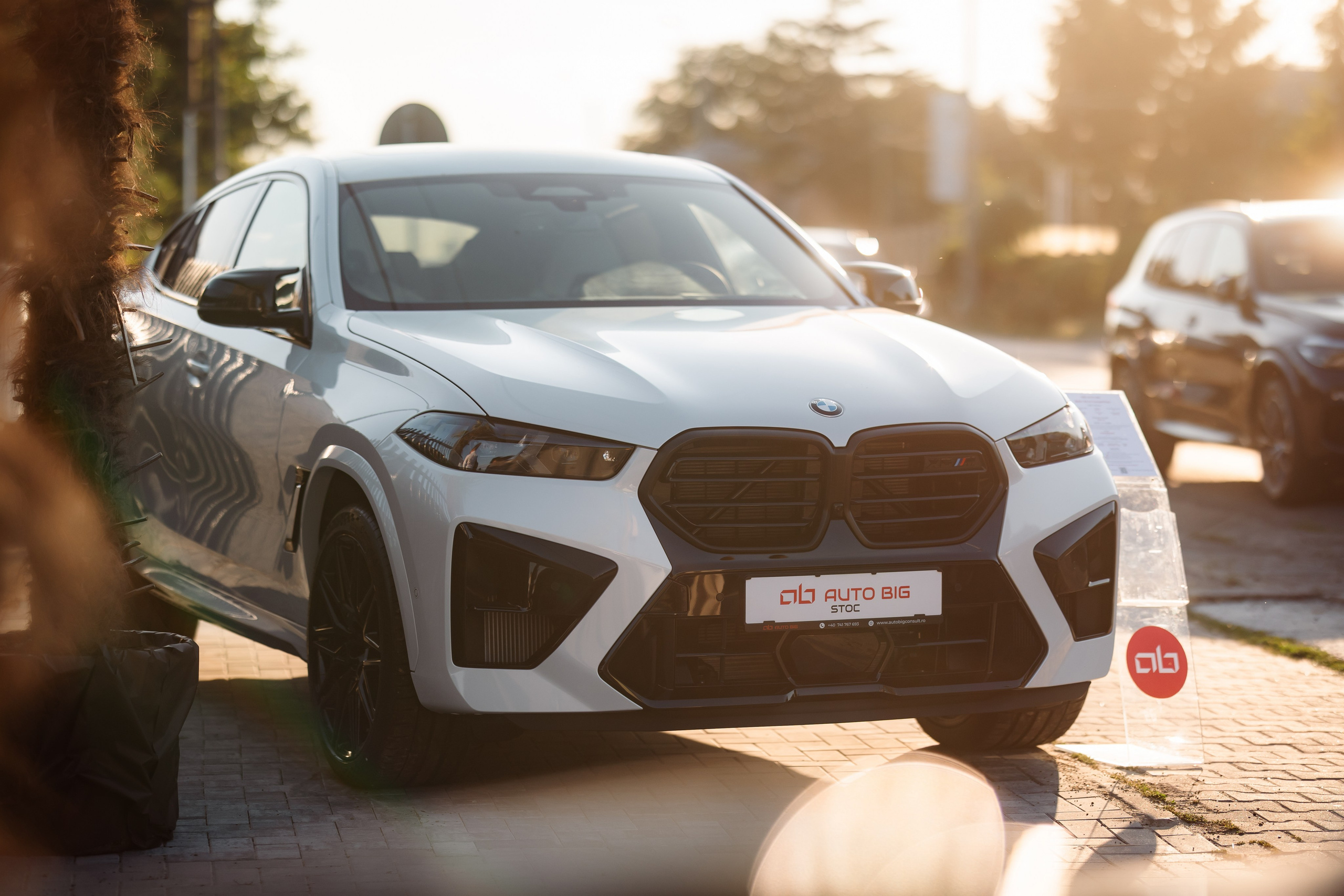 Auto Big. Marius Ciocan