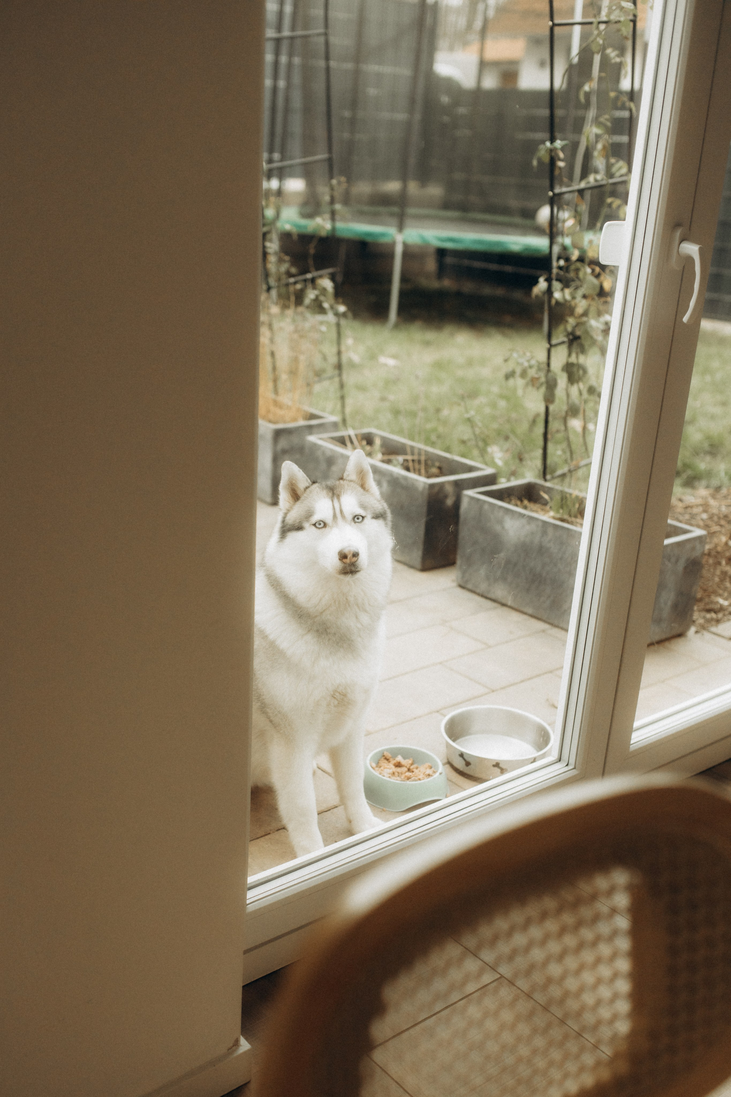 My lovely World. Julia Sööt Fotografie