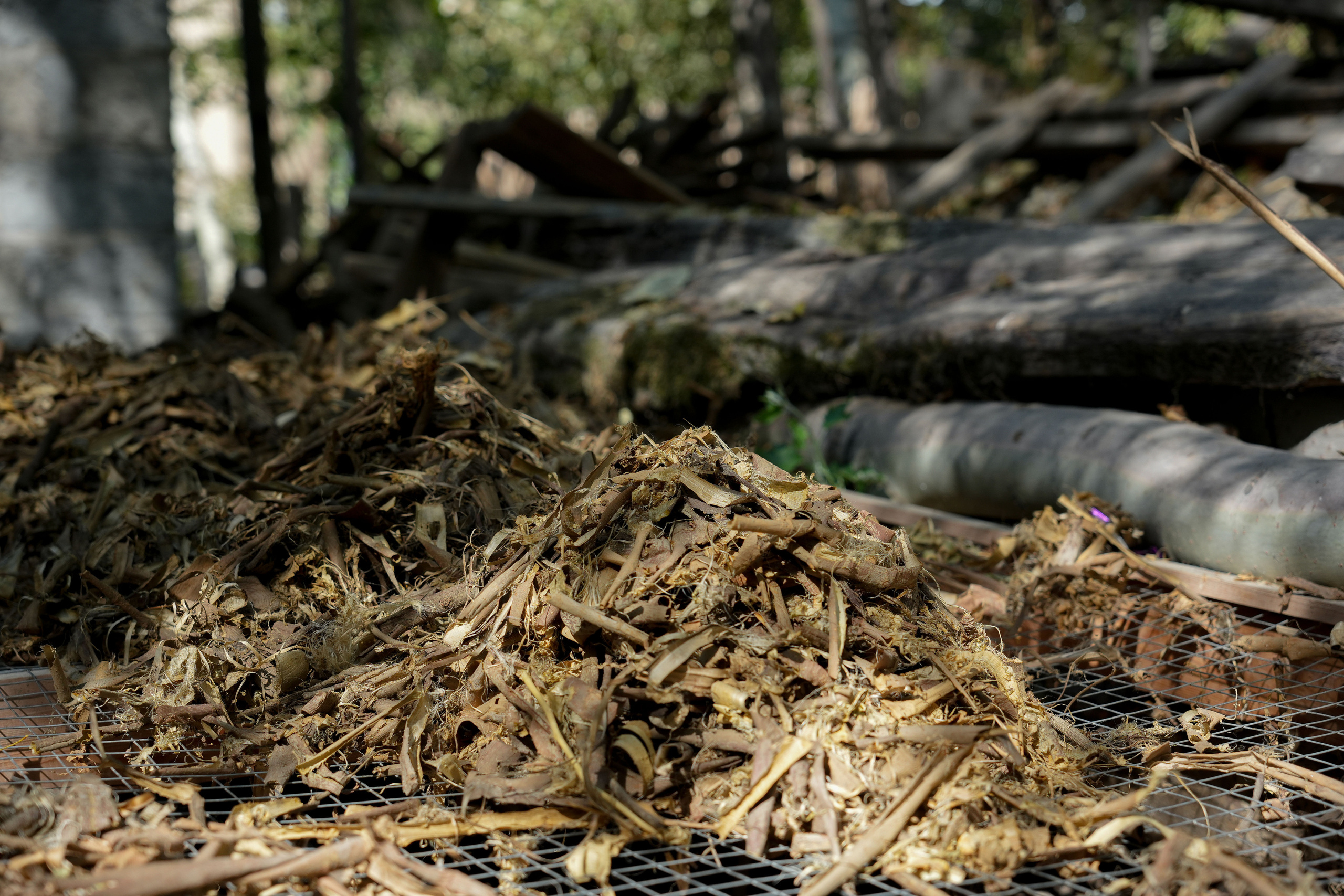Бумажная фабрика в Самарканде, Узбекистан. Георгий Намазов | Фотограф в Ташкенте