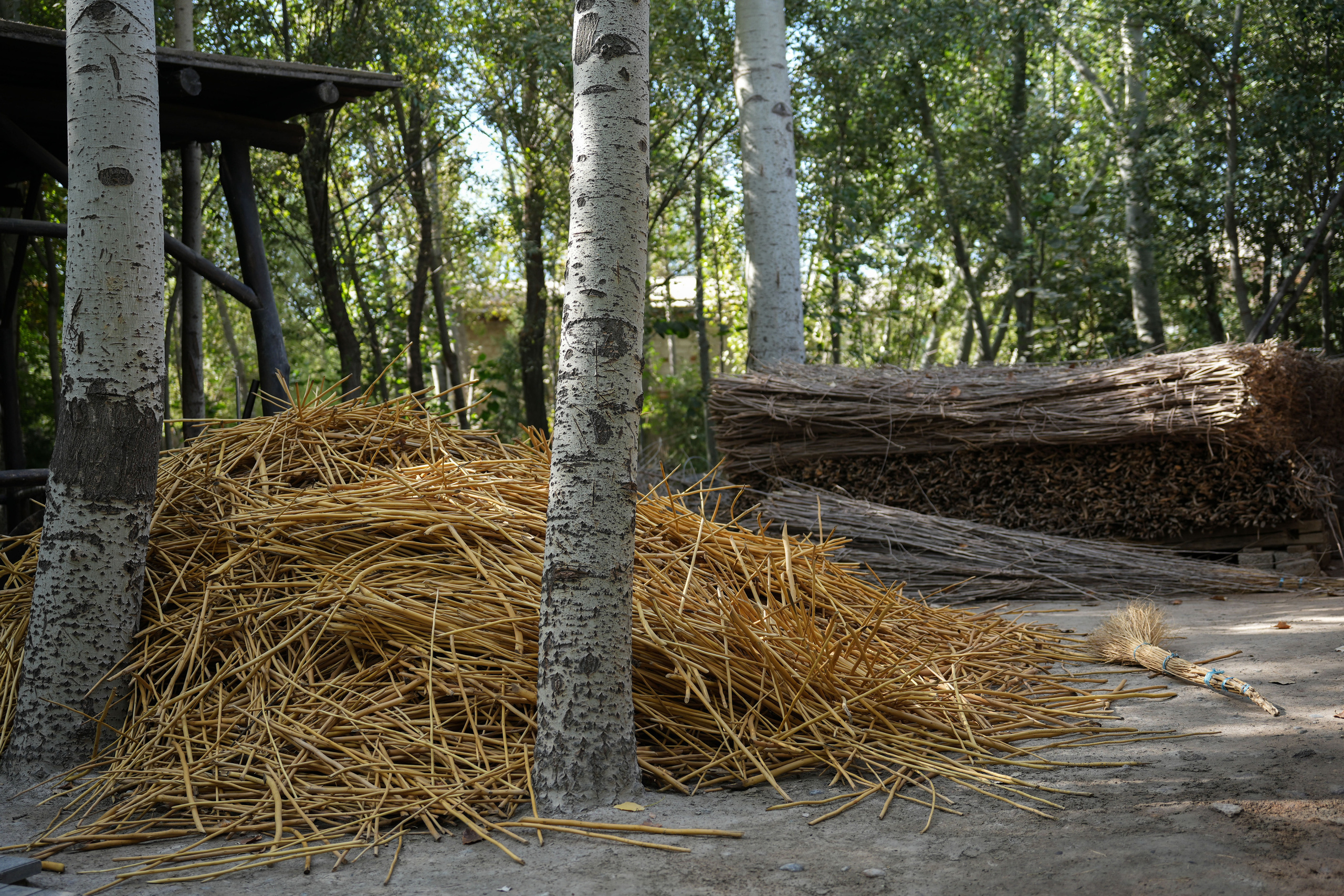 Бумажная фабрика в Самарканде, Узбекистан. Георгий Намазов | Фотограф в Ташкенте