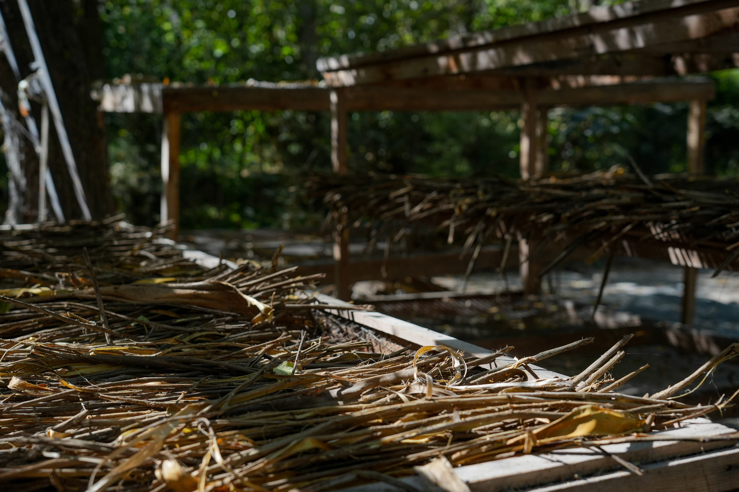 Бумажная фабрика в Самарканде, Узбекистан. Георгий Намазов | Фотограф в Ташкенте