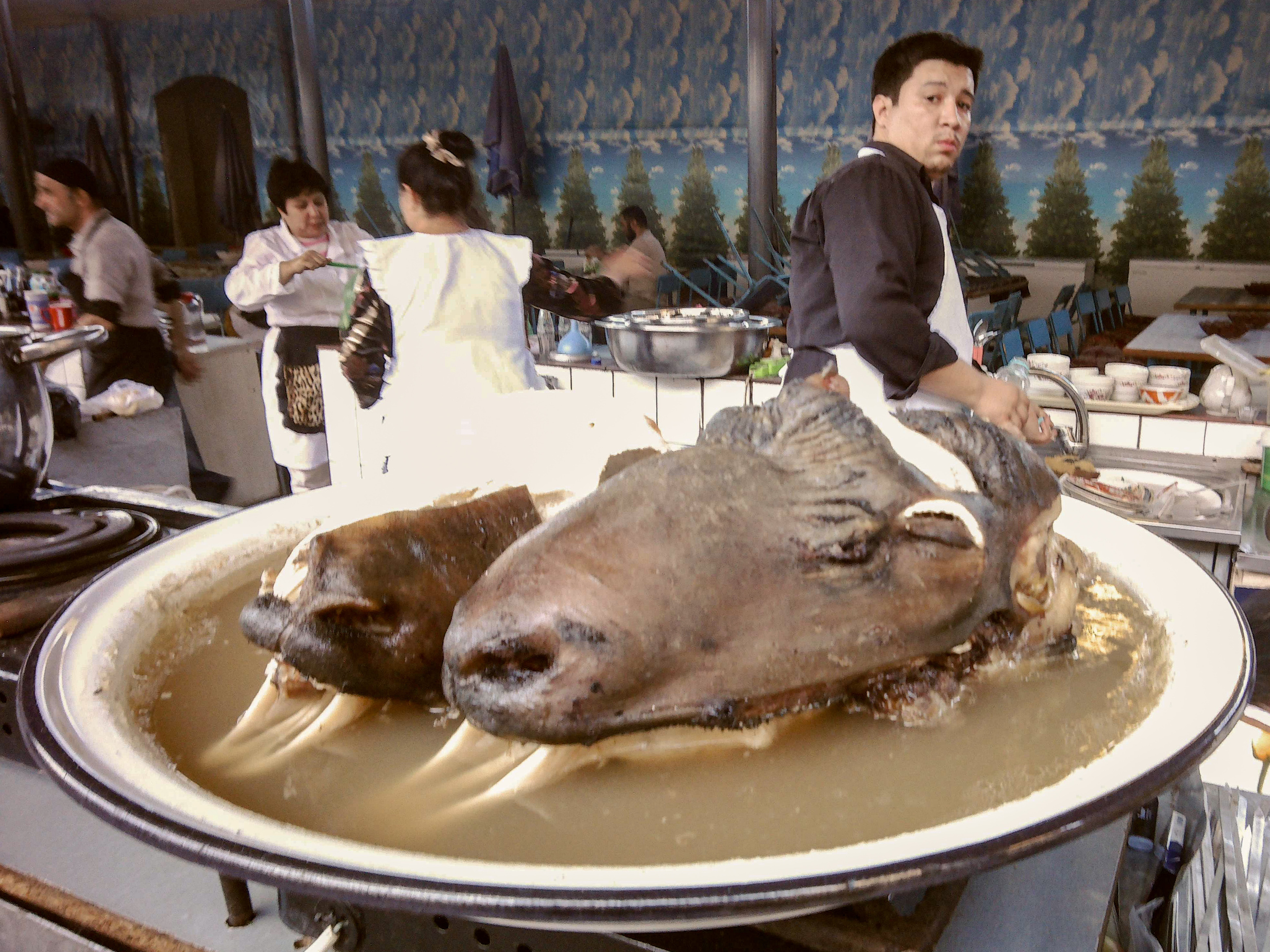 Стрит и Урбан. Георгий Намазов | Фотограф в Ташкенте
