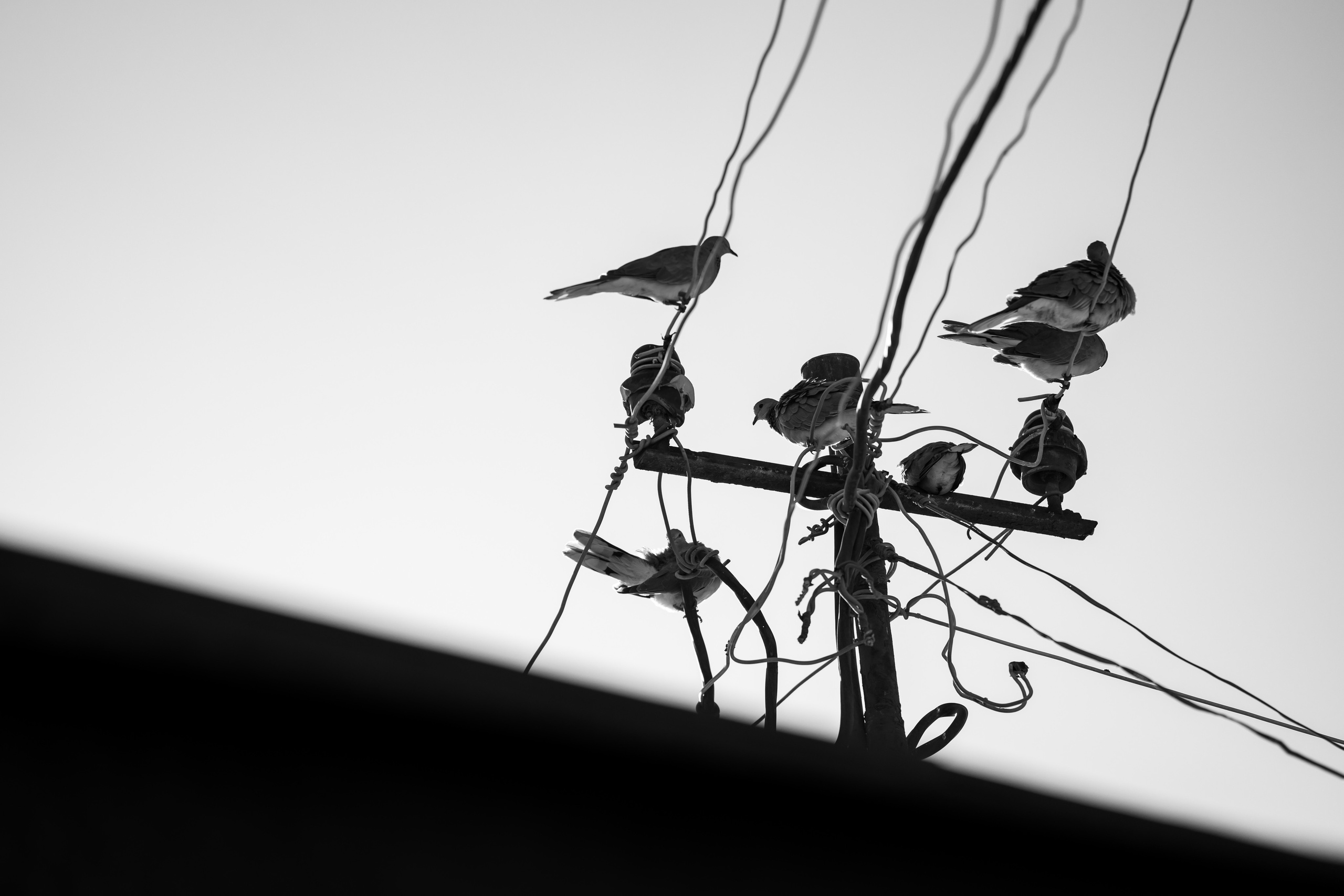 Стрит и Урбан. Георгий Намазов | Фотограф в Ташкенте