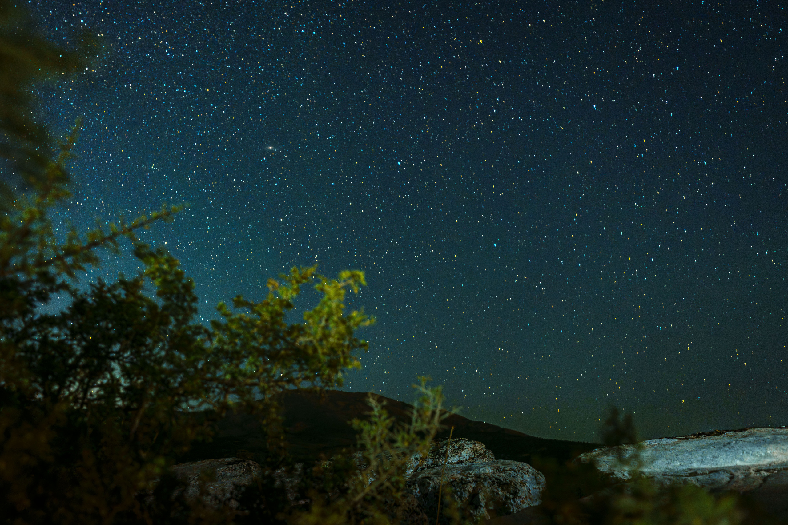 Perseids. Георгий Намазов | Фотограф в Ташкенте