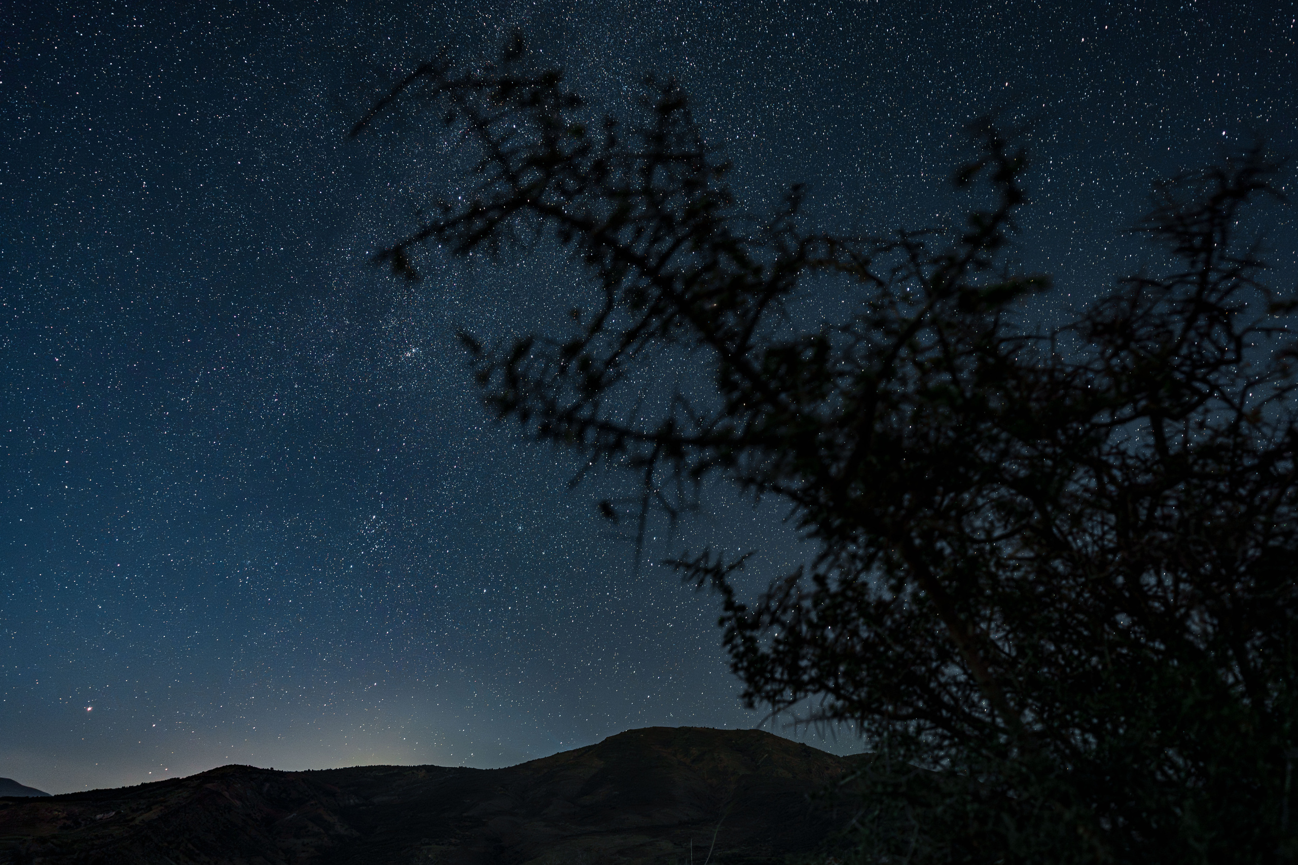 Perseids. Георгий Намазов | Фотограф в Ташкенте