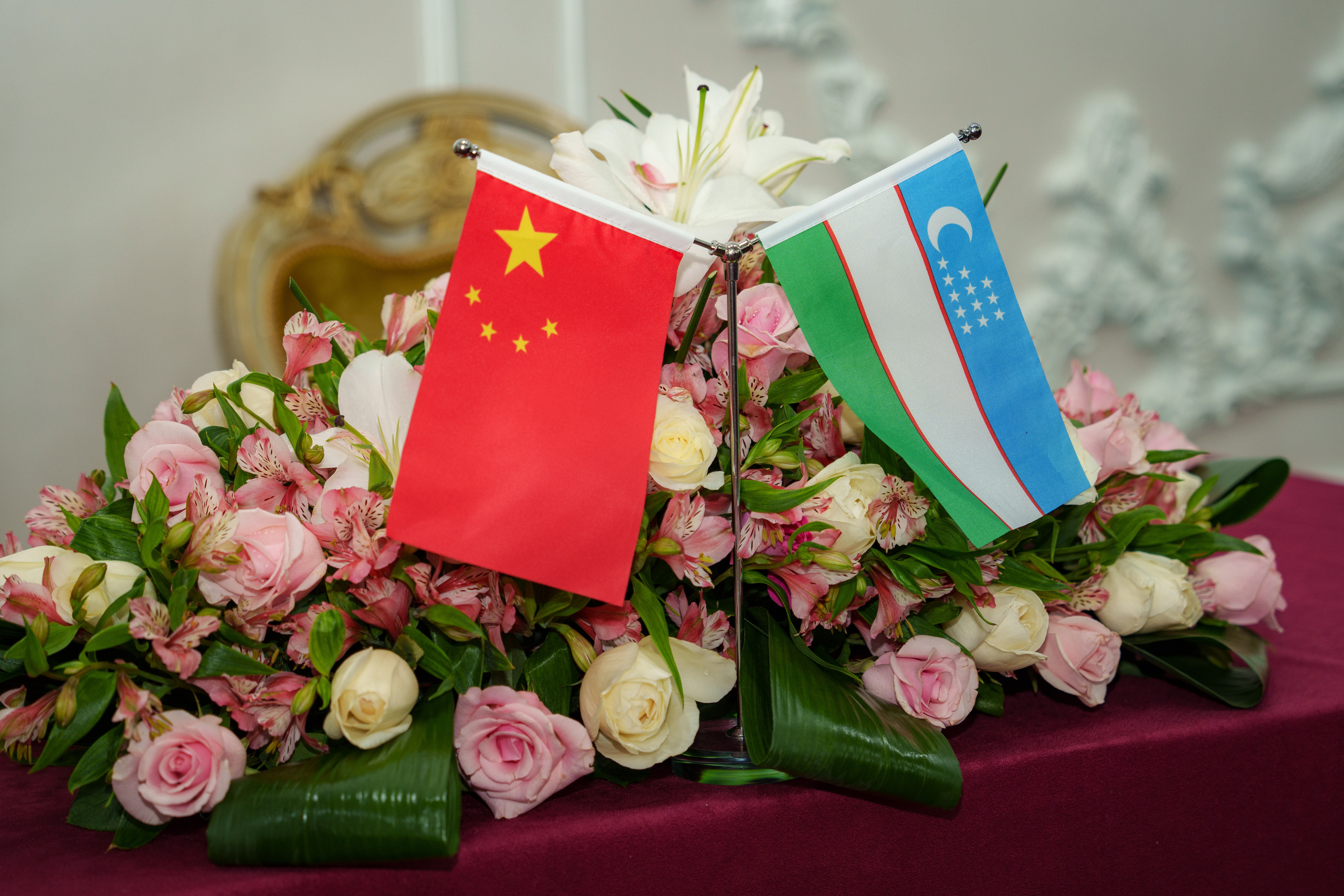 Презентация китайских документальных фильмов. Георгий Намазов | Фотограф в Ташкенте