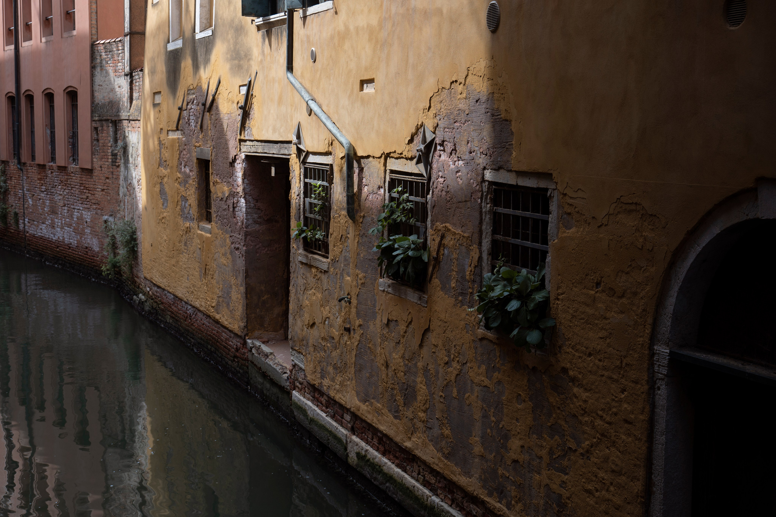 Italie. Portrais créatifs de familles et individuels, Ile et Vilaine, France