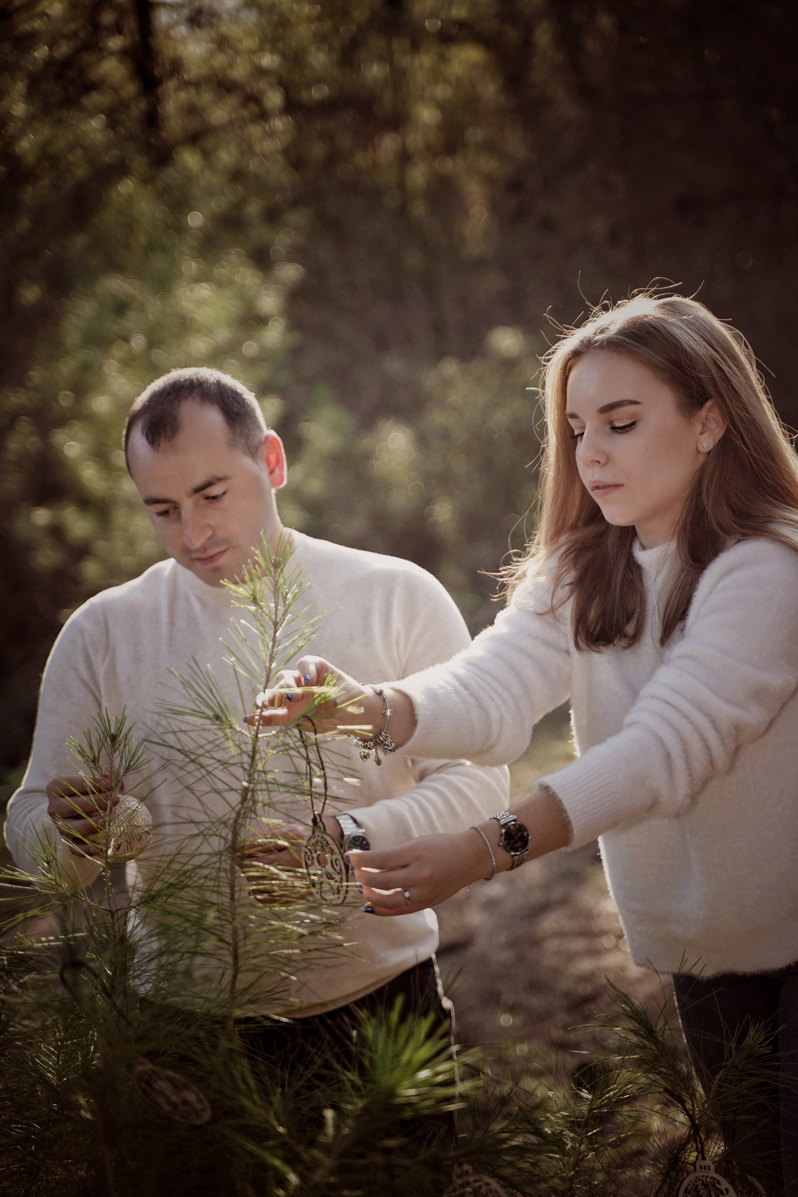 Новый год в лесу. Фотограф. Визуал. Хайфа. Талья Цветкова