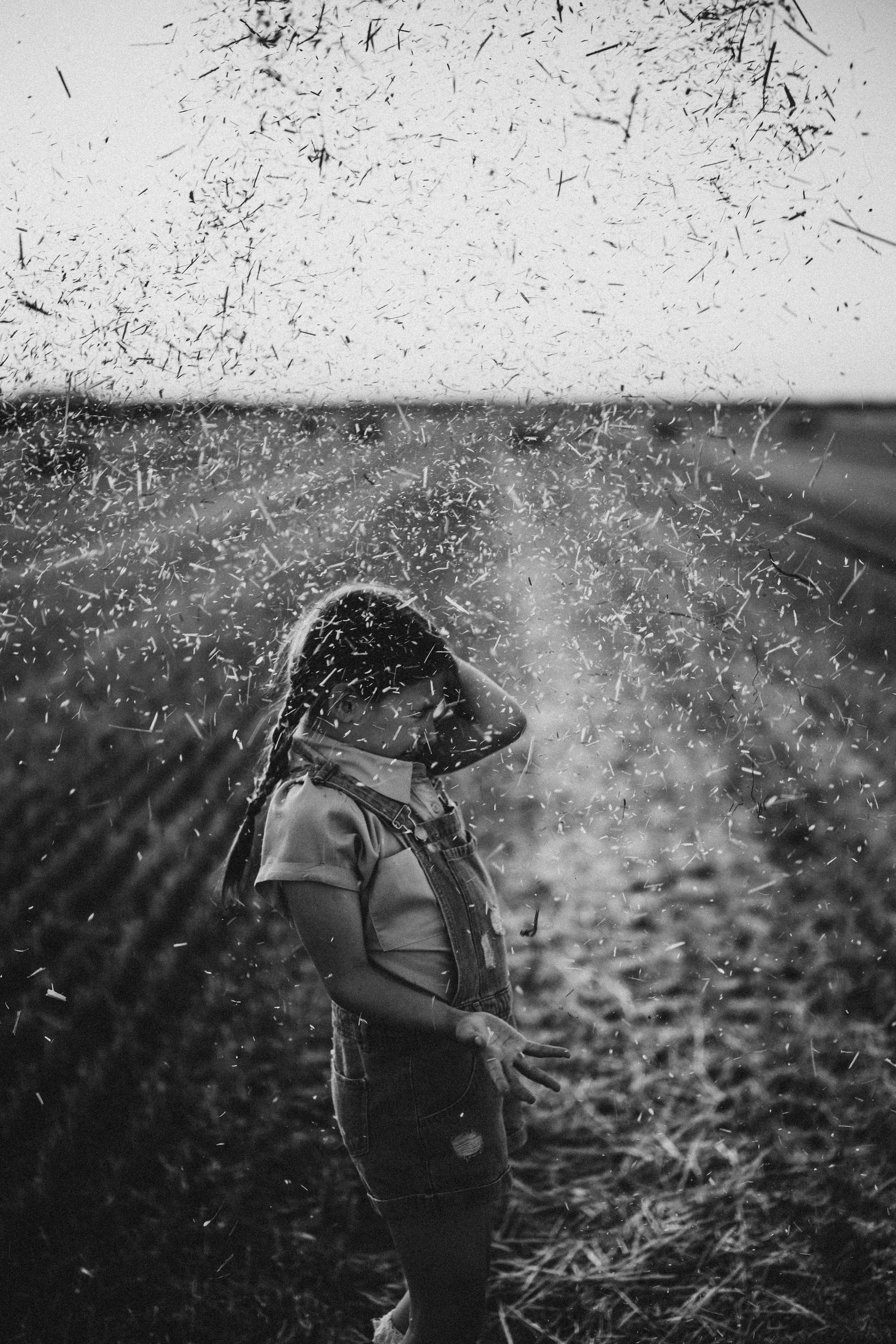 Letnje fotografisanje u polju suncokreta i sena. Deciji i porodicni fotograf u Beogradu Oksana Skendzic