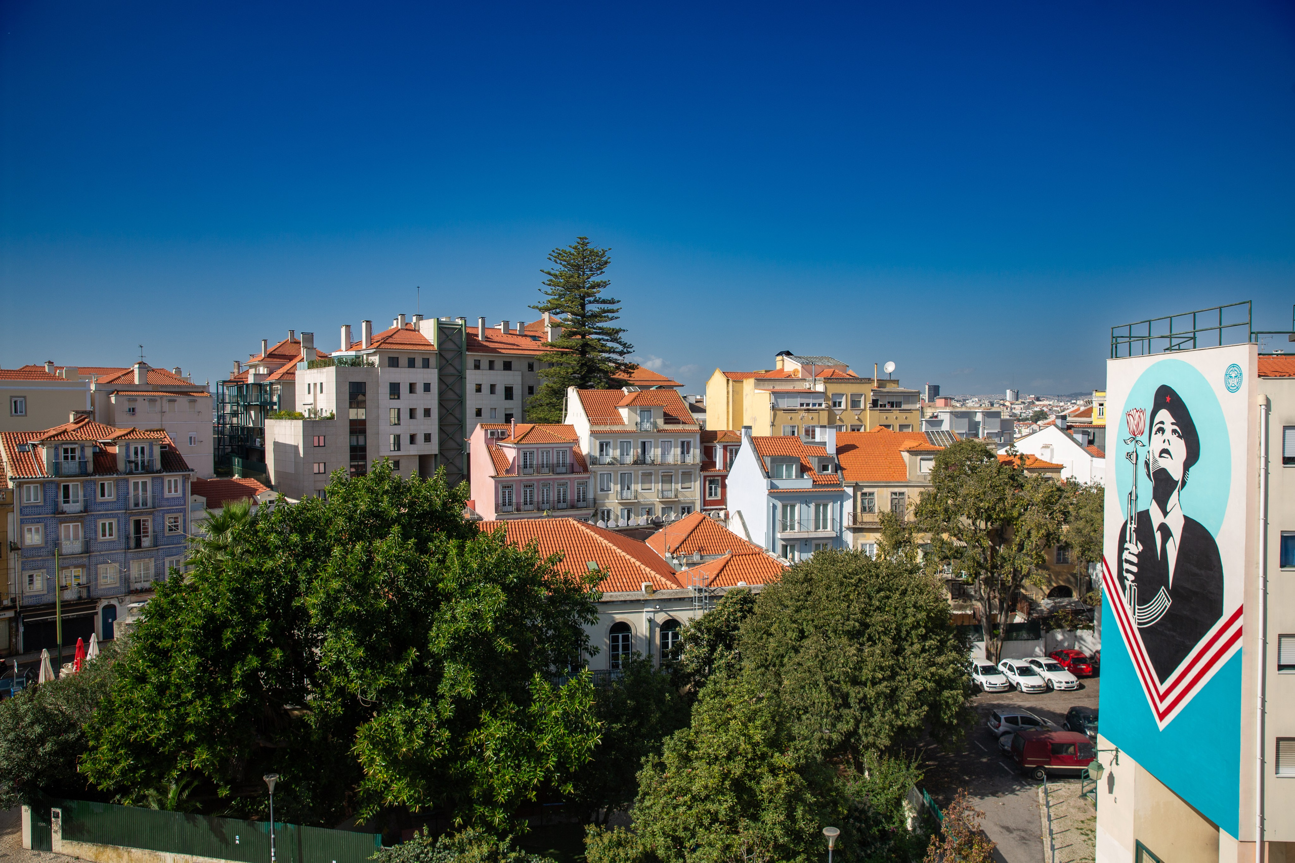 Paisagens. Thiago Chinellato