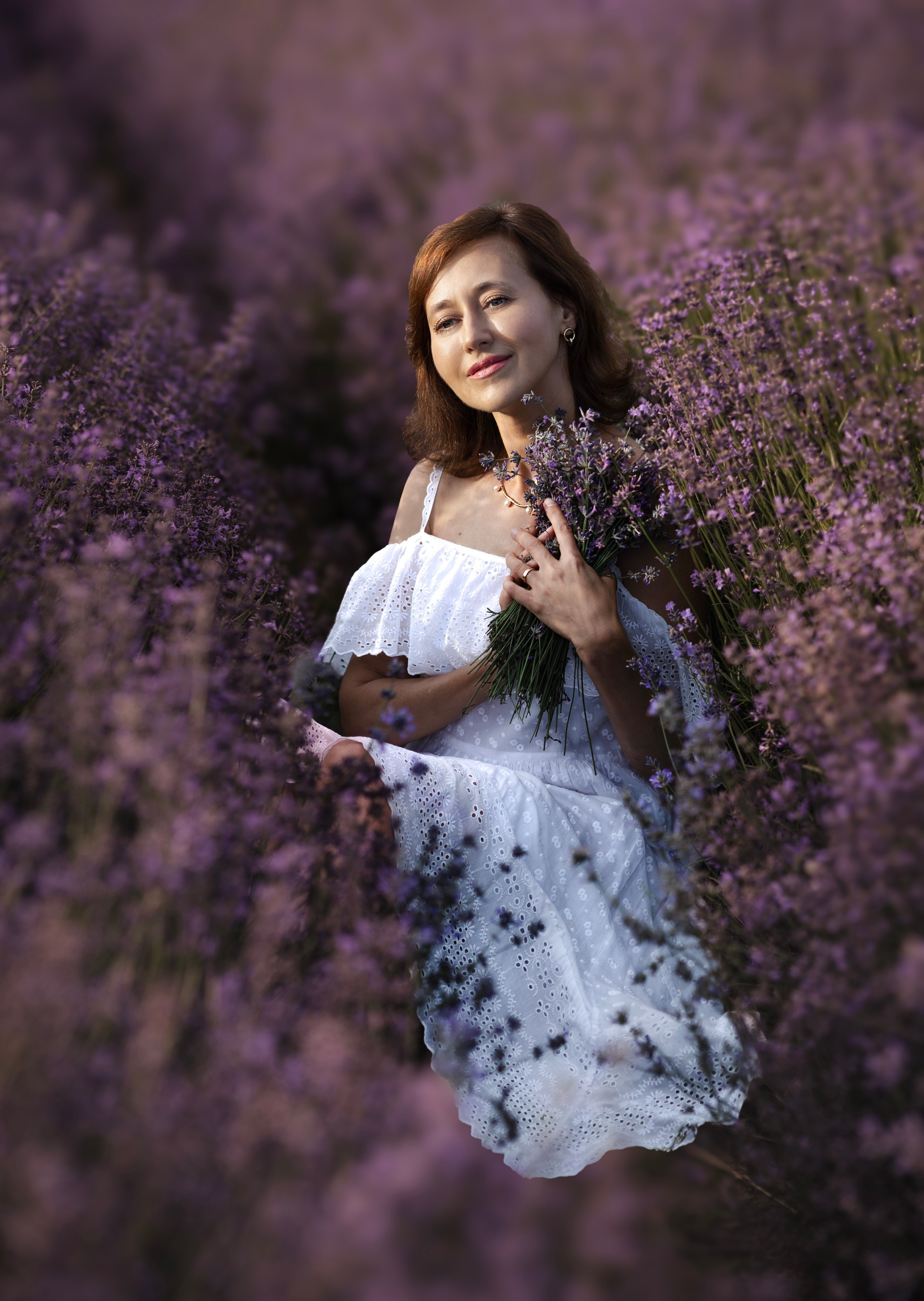 Lavendel. Photographer in Munich