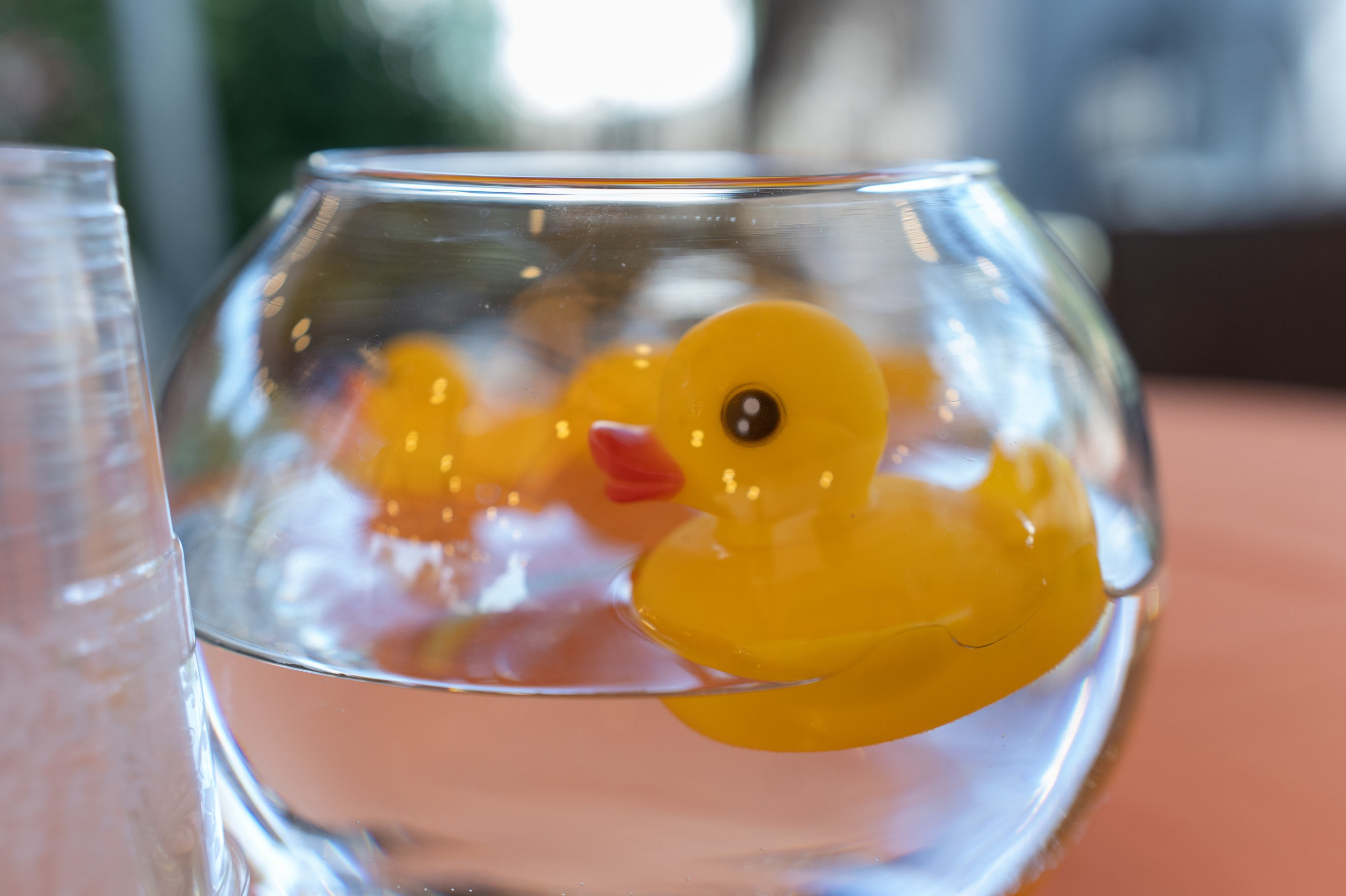 משפחת ברנד. יוסף מזרחי צילום חתונה, ברית וזוגיות. צלם מקצועי שאוהב להוציא אתכם הכי יפים ברגעים הכי מרגשים