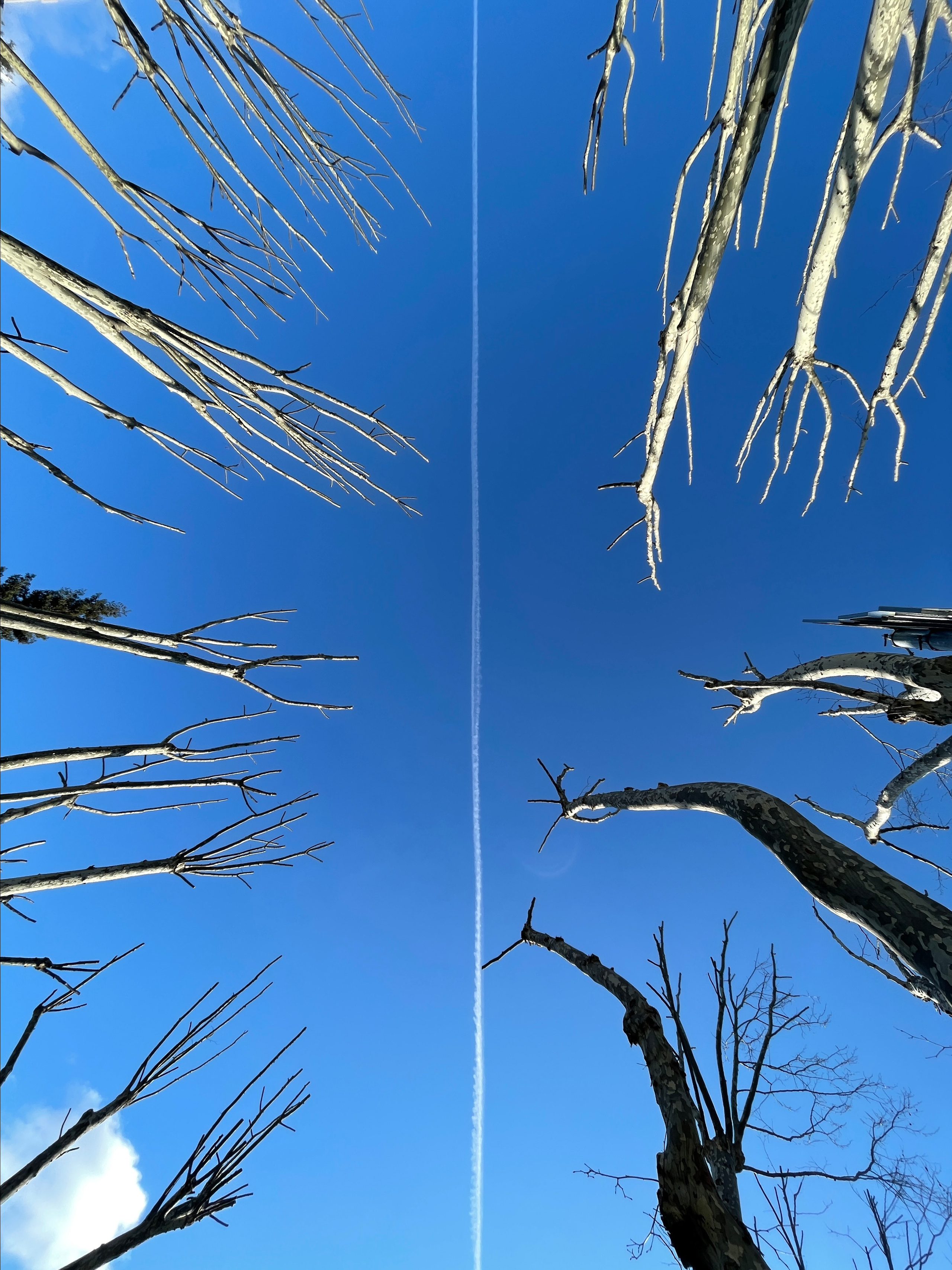 Street photo. Ekaterina Verbitskaya. Photography