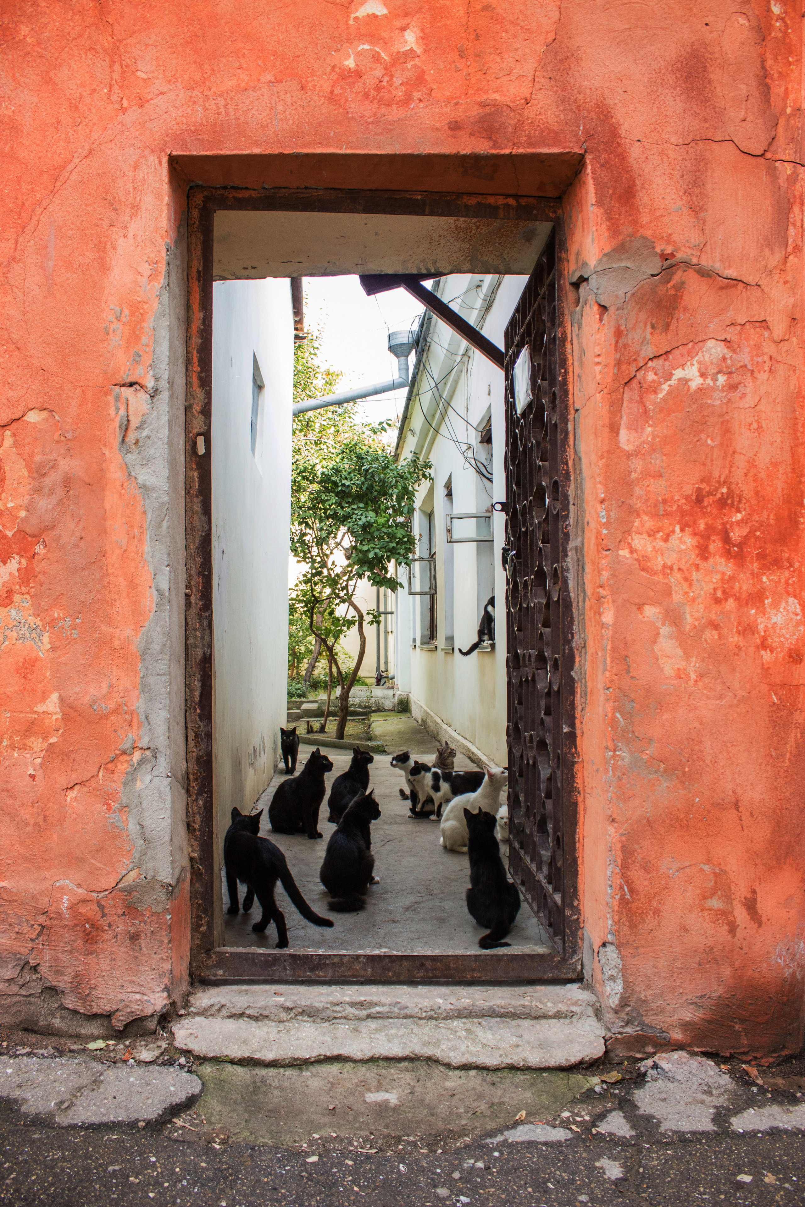 Street photo. Ekaterina Verbitskaya. Photography