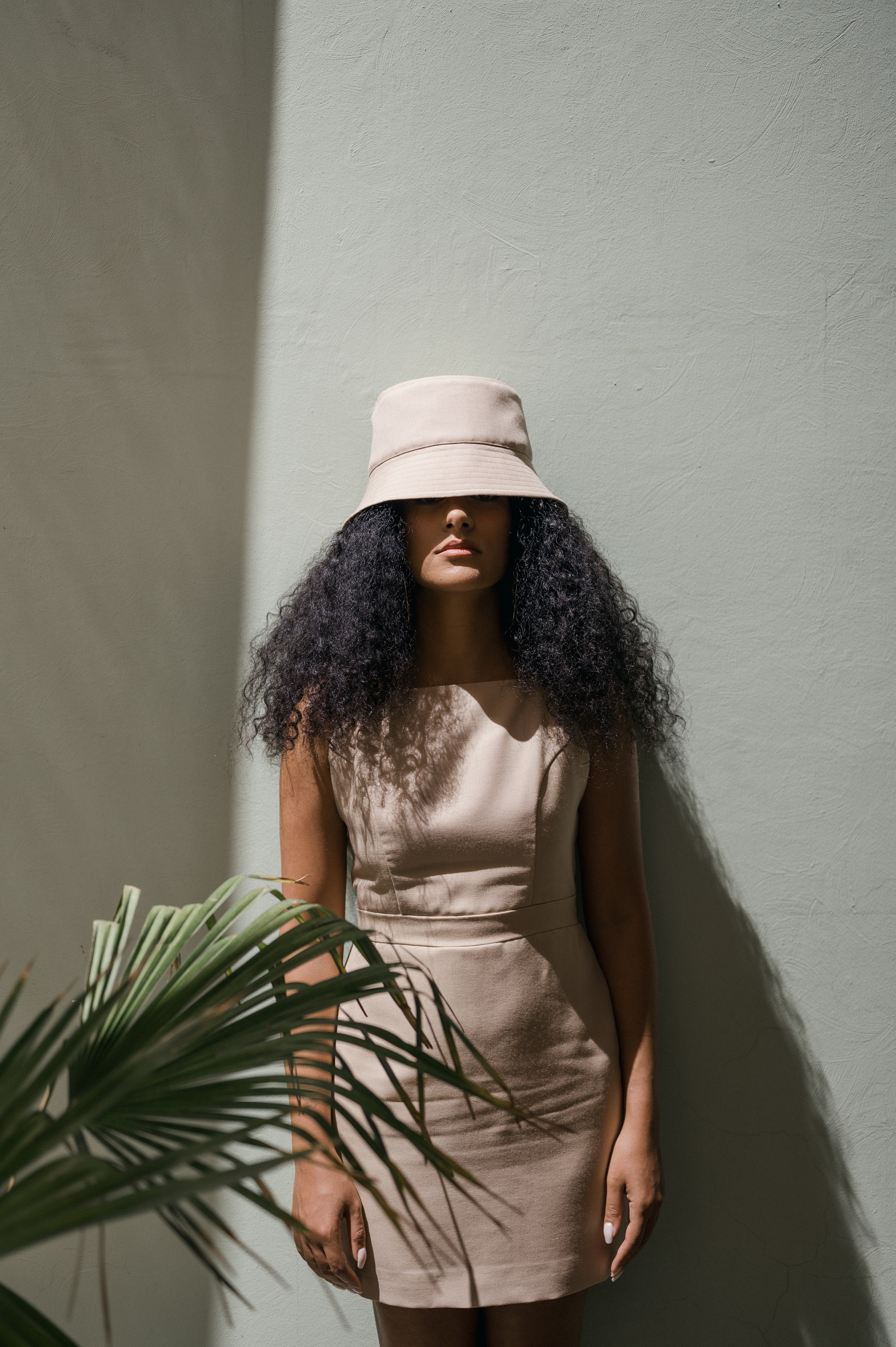 Starfish by Jellyfish | August 2022. Home