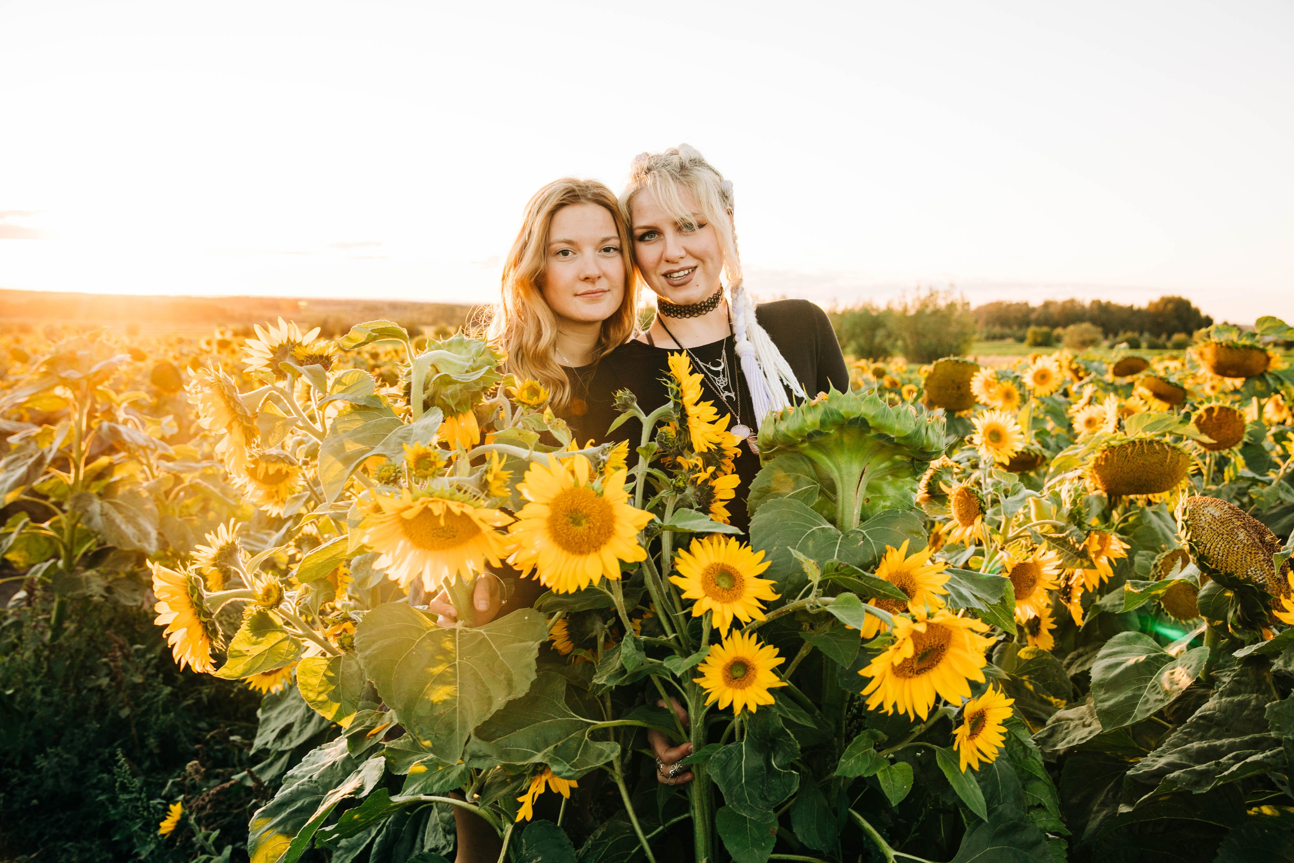 Leanne & Emily — Bowden Sunflowers. Fotografía accesible en Calgary