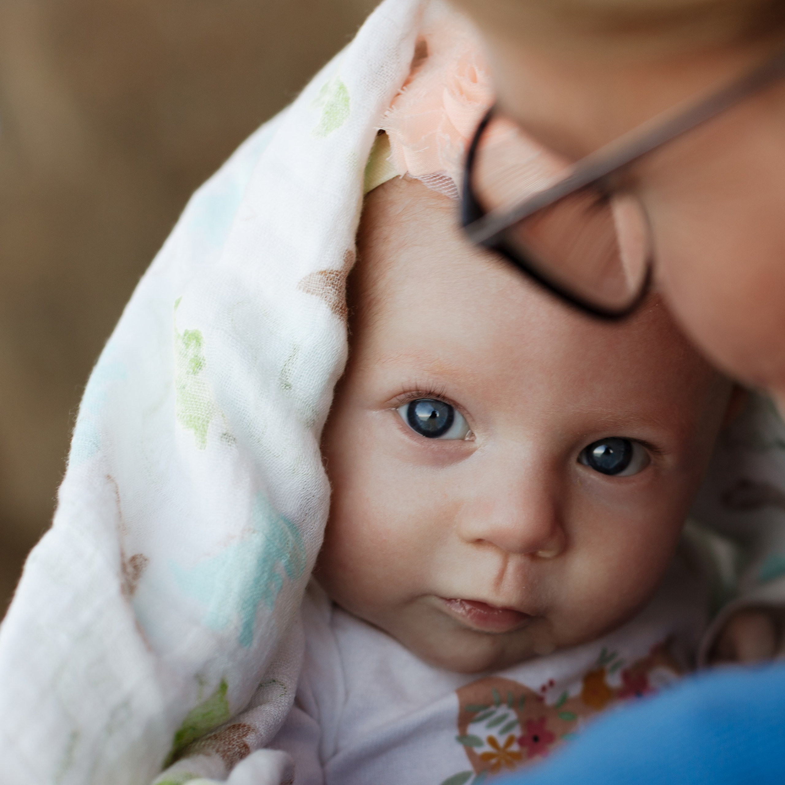 Older newborns. Marina Pravda Photography San Francisco Bay Area