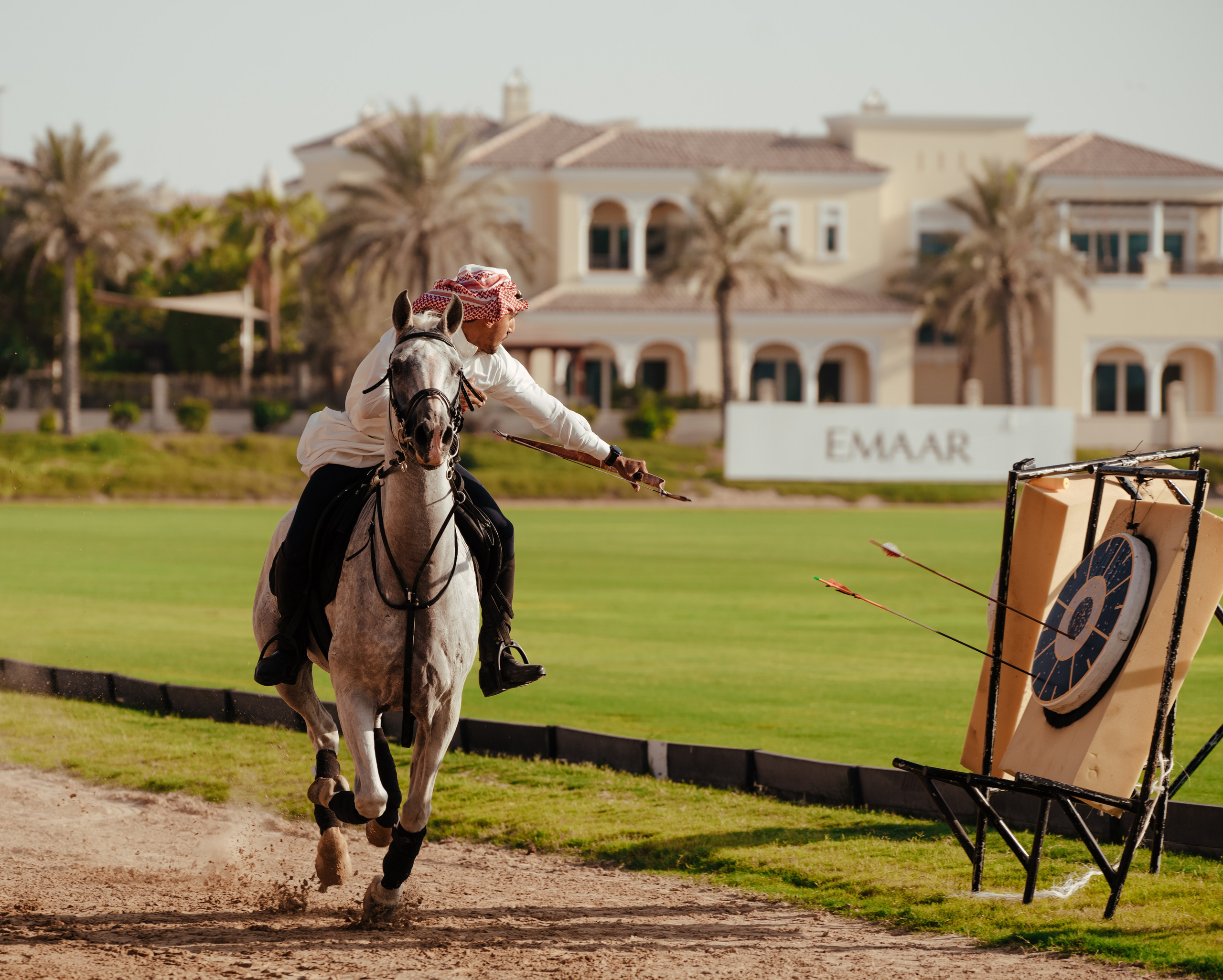 With horses and camels. Photographer and videographer in Dubai Dmitry Gromov