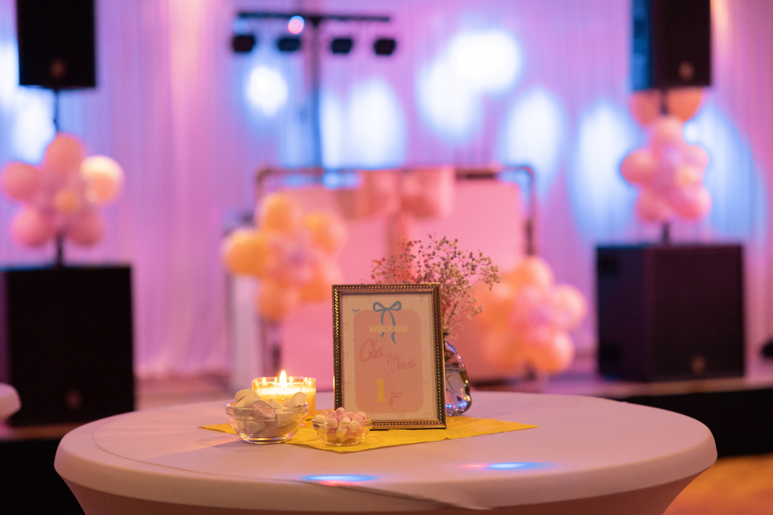 1 st Birthday. Portrait and Family Photographer in Netherlands