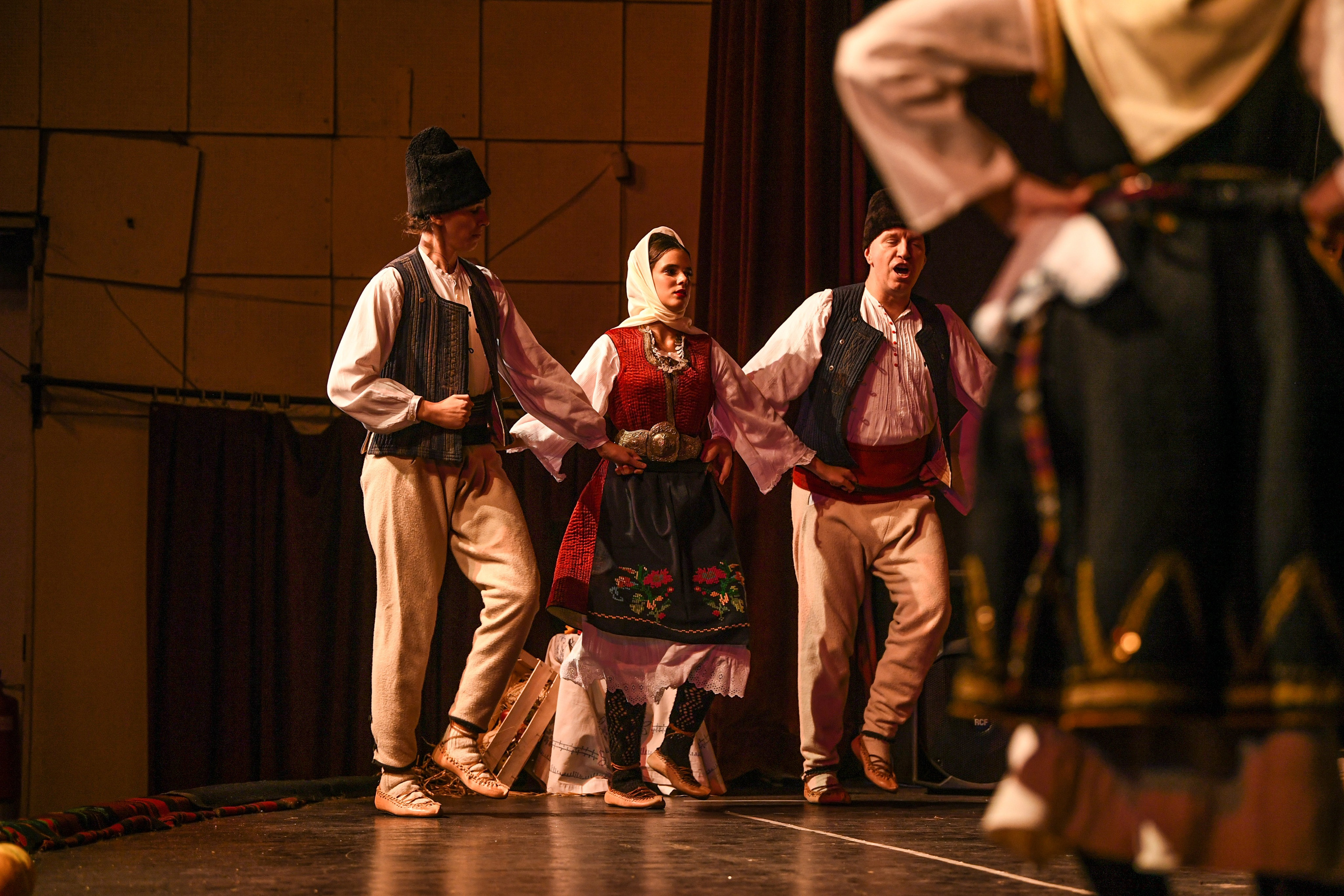 Godišnji koncert — KUD Ljubiša Urošević. Foto Simic Jagodina