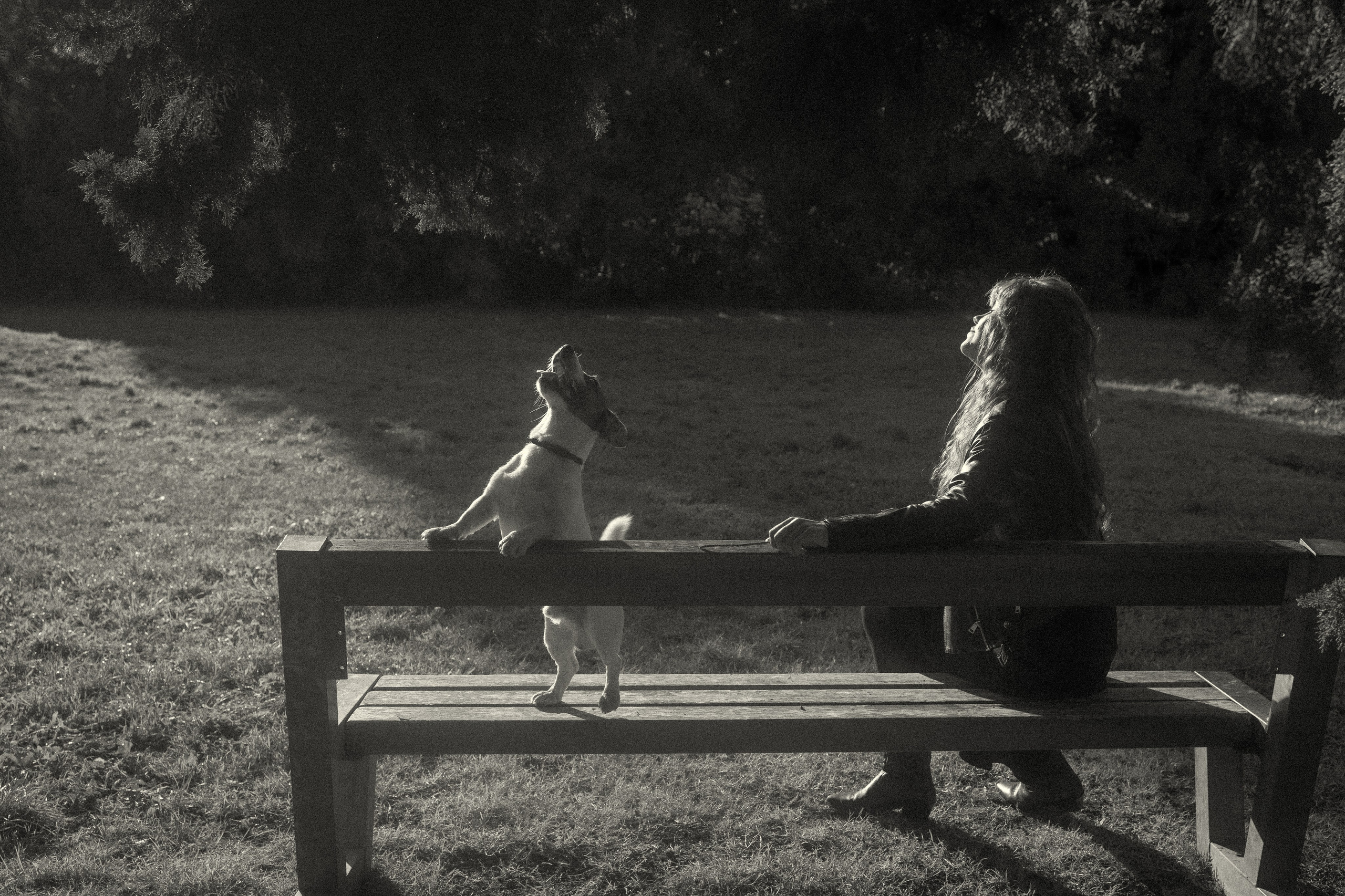 Histoires d’amour, séances photos de famille et de mariage en France