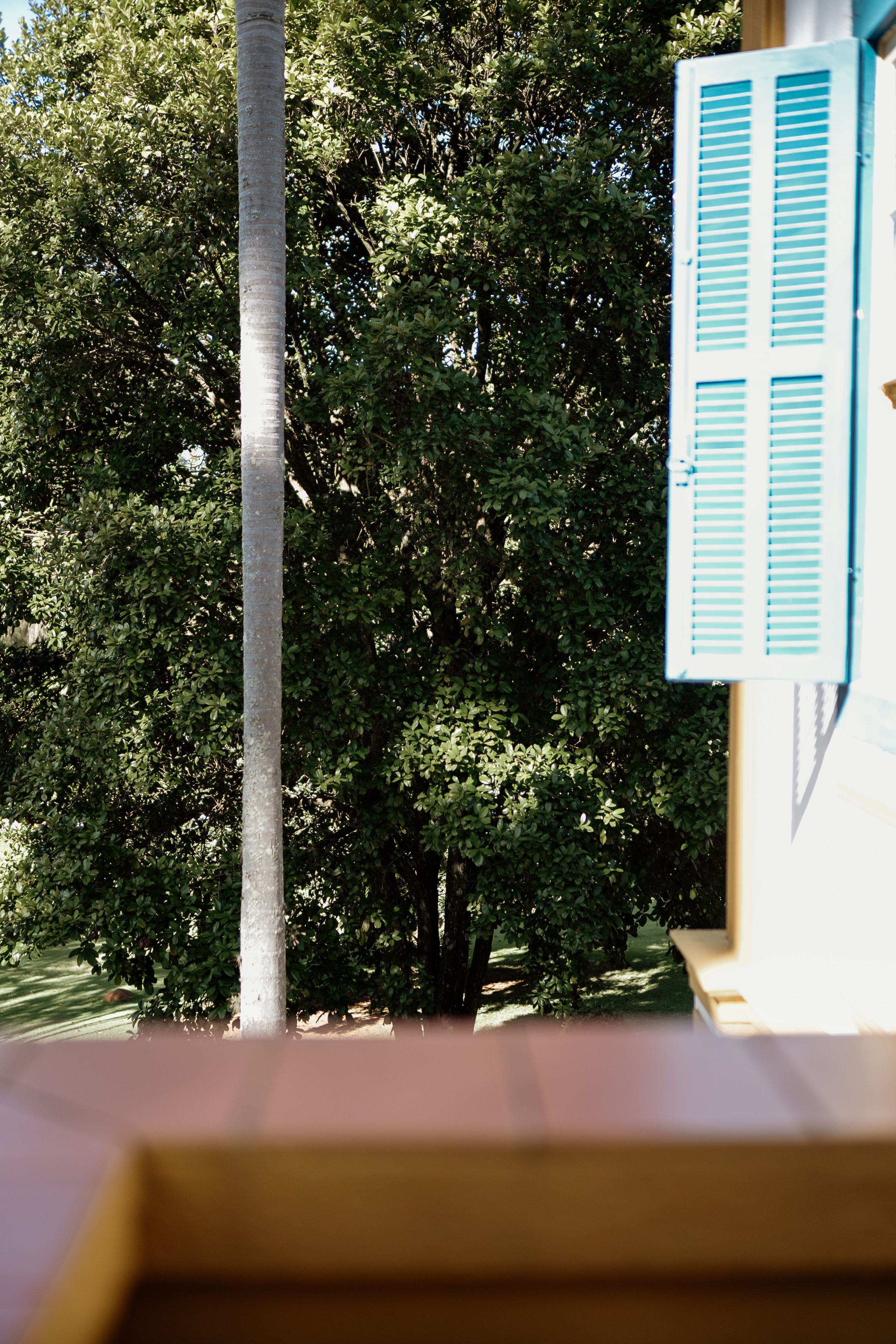 Johanna & Felipe. Congiu Wedding