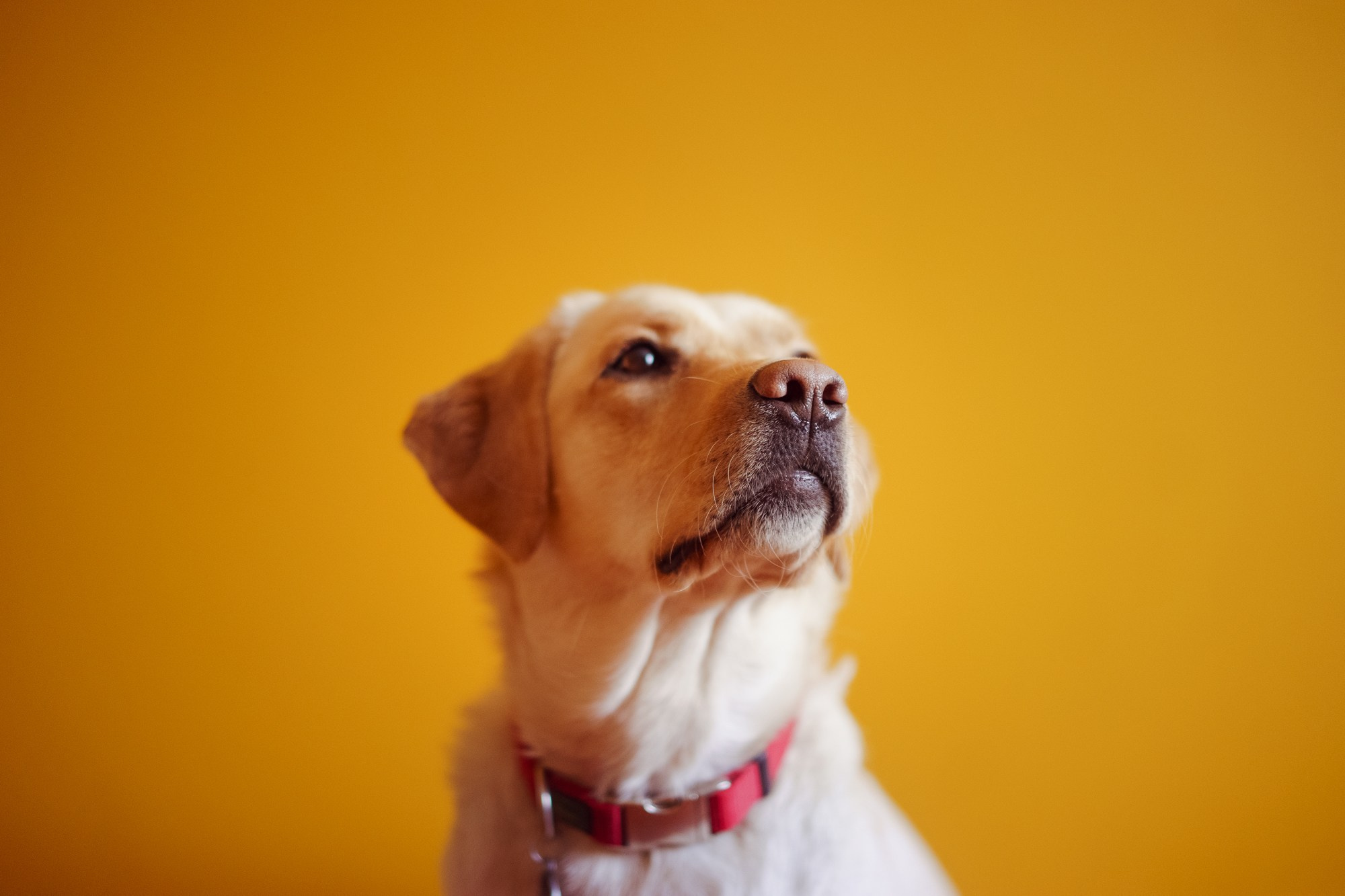 Commerce. Stanislava Novgorodtseva — Photographer | Visual Artist | Educator