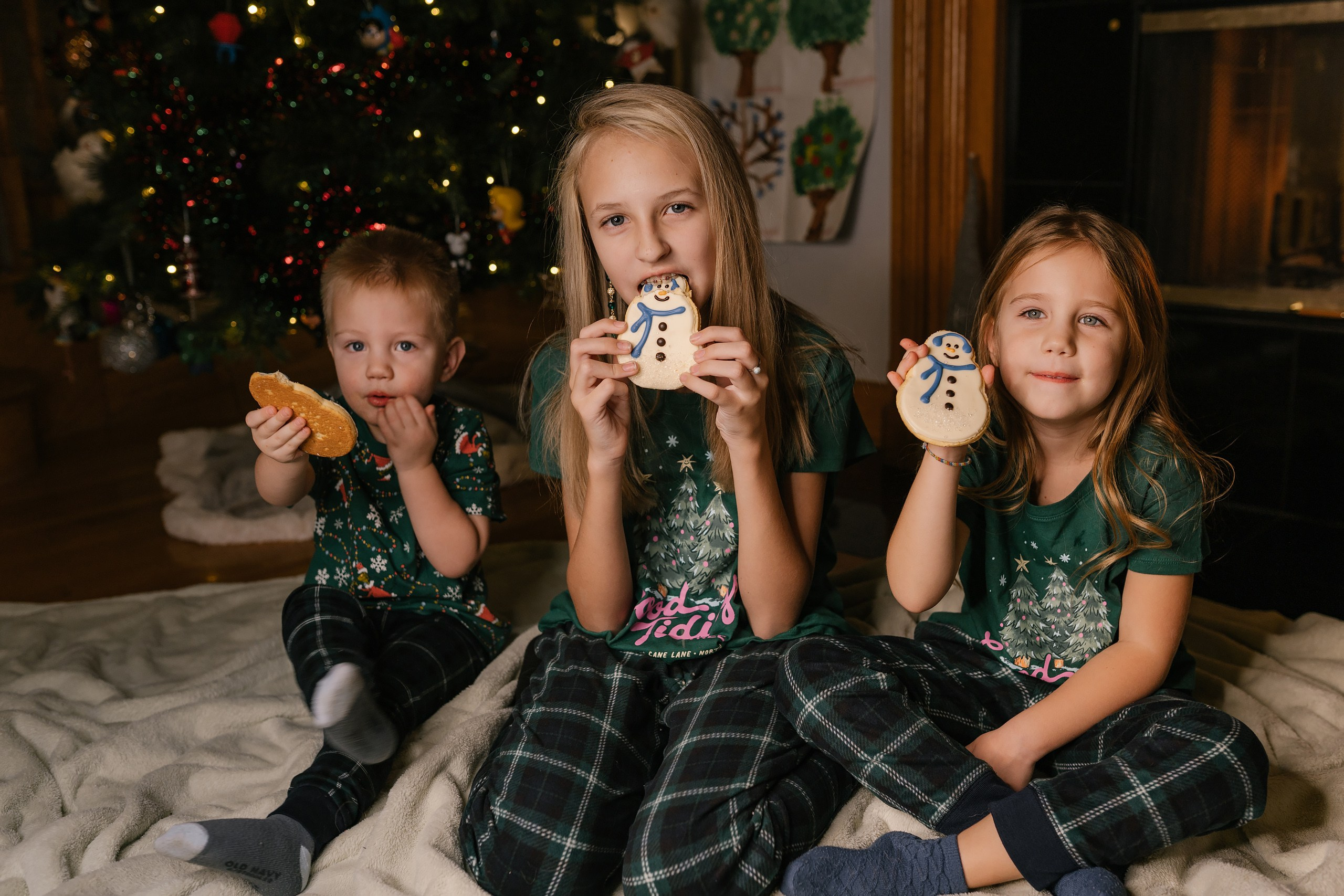 12.07.2025 Christmas Photoshoot. Wedding family event photographer in Chicago Nick Yushevich