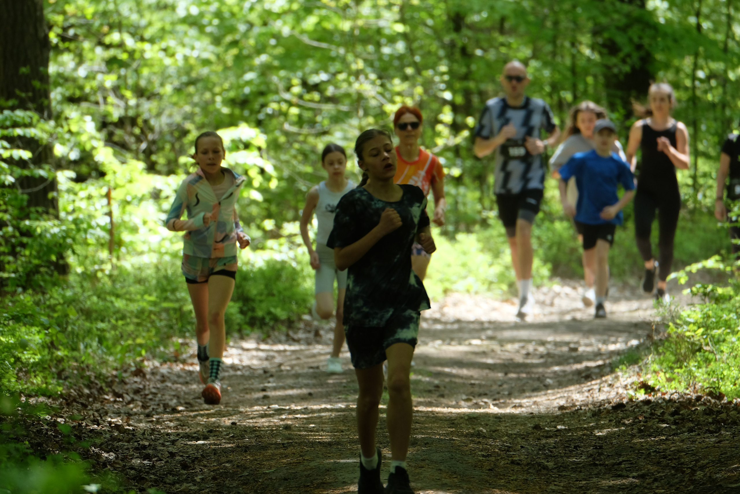 Aleksandryjska Piątka po lesie. Main
