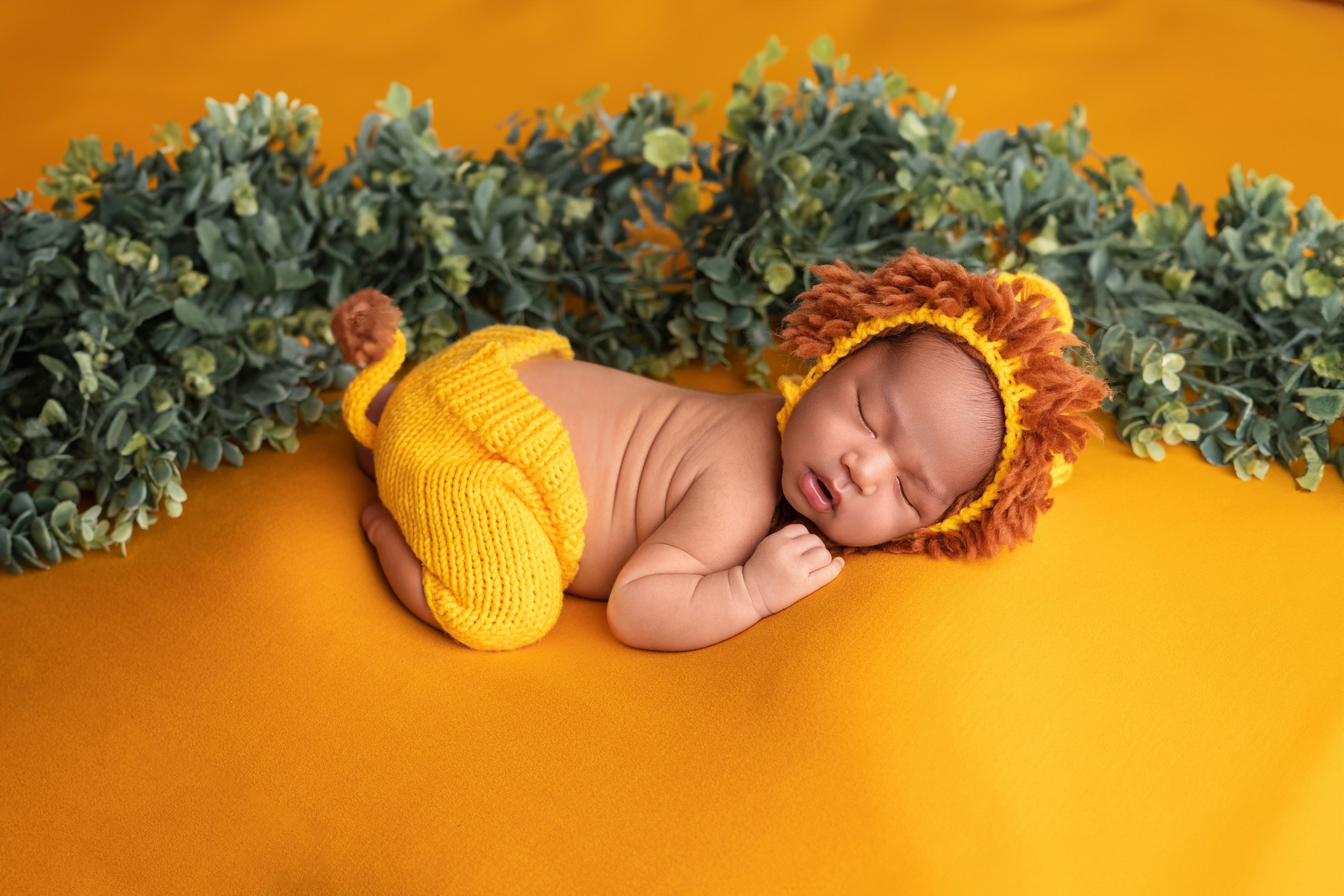 Newborn. Julia Bolgov Photography | Newborn, Family, Maternity & Milestone Photographer in Bay Area, CA