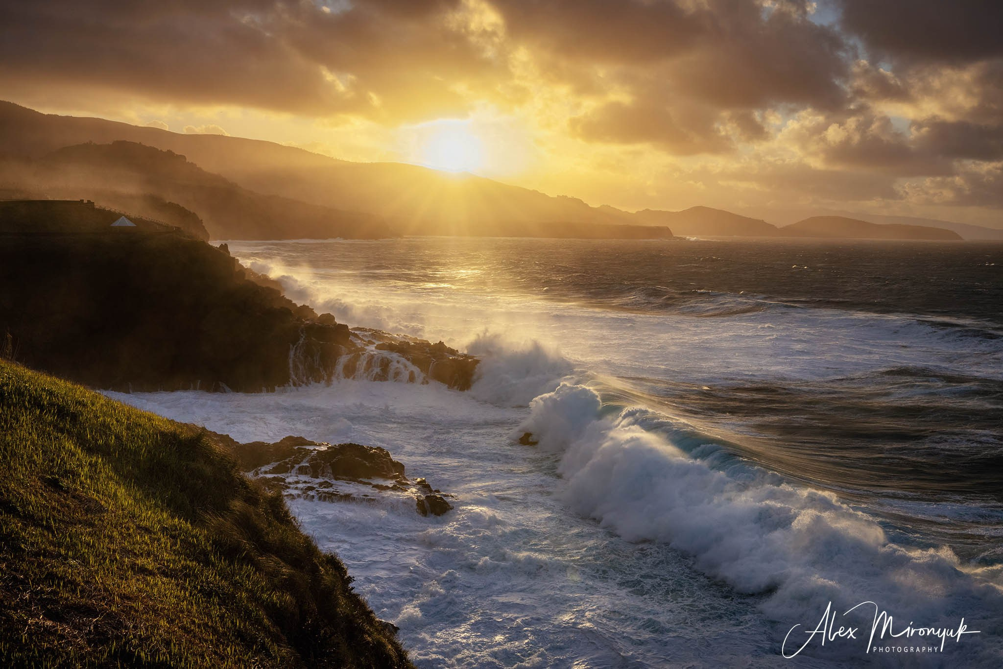 Azores And Madeira. Pet, Senior, Landscape, portrait studio, photographer in Miami and Sou