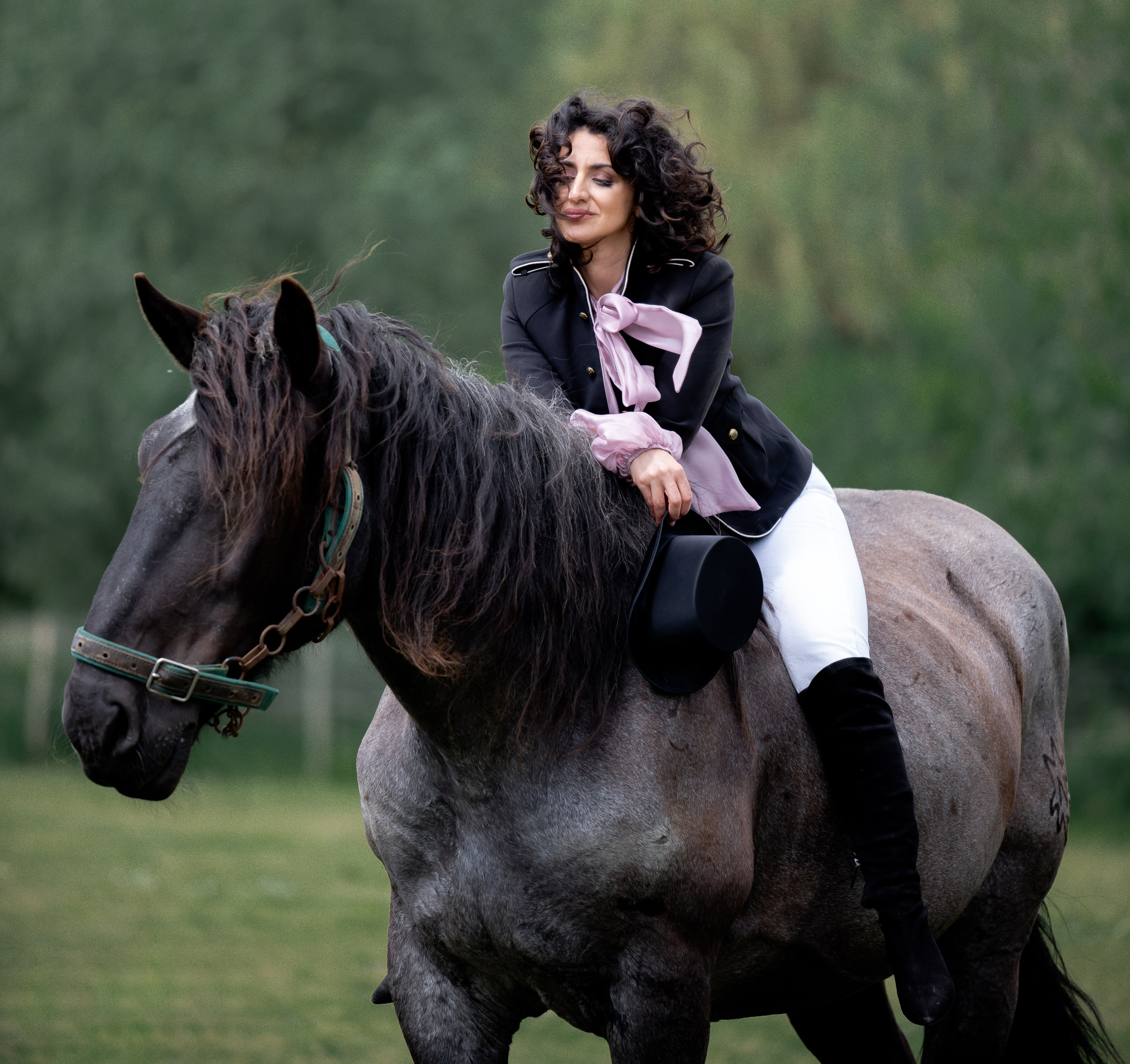 Photoshoot with Horses. Professional Photograher, Antwerpen/Belgium