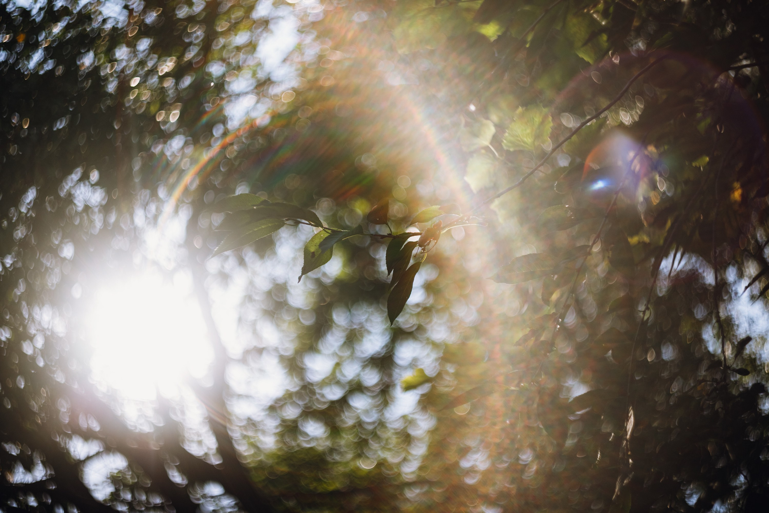 Grandmother's home in Brest. Kaja | fotograf we Wrocławiu | ludzie i psy