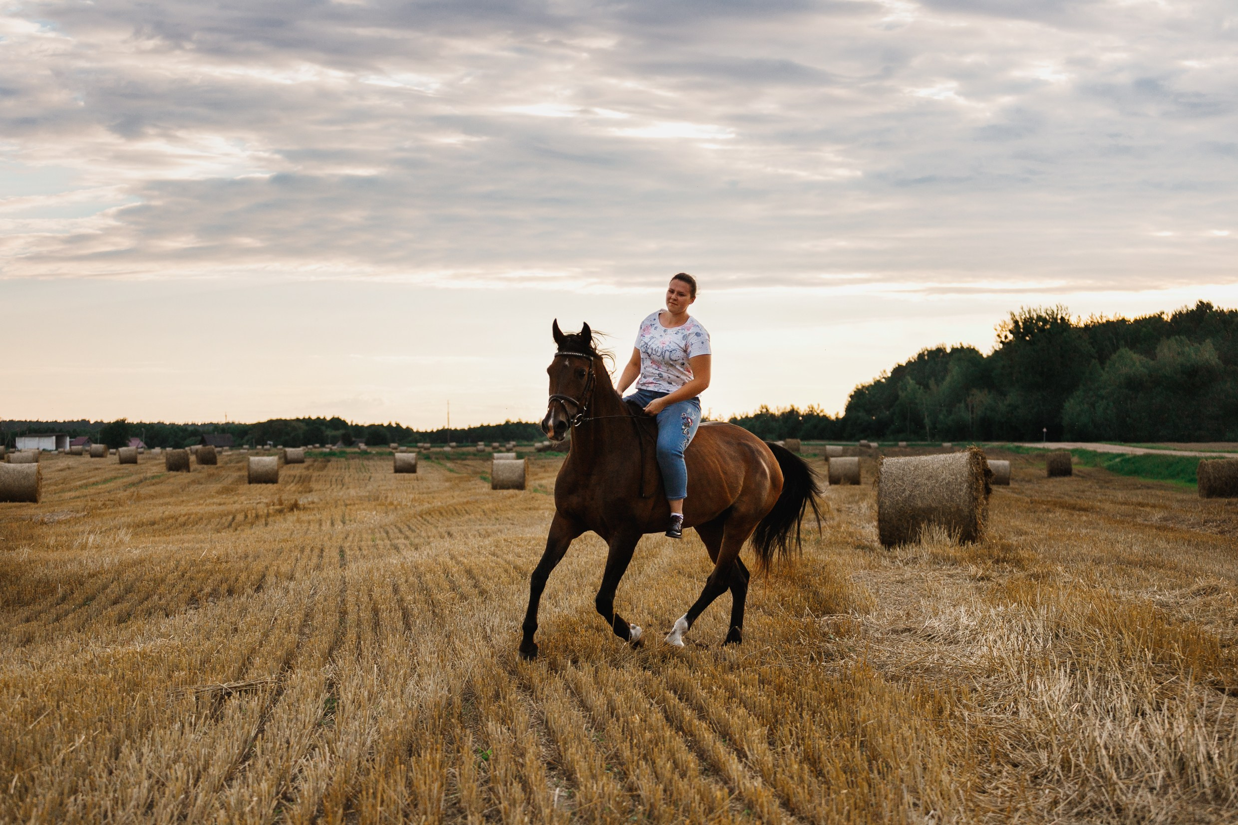 One sunset. Kaja | fotograf psów we Wrocławiu